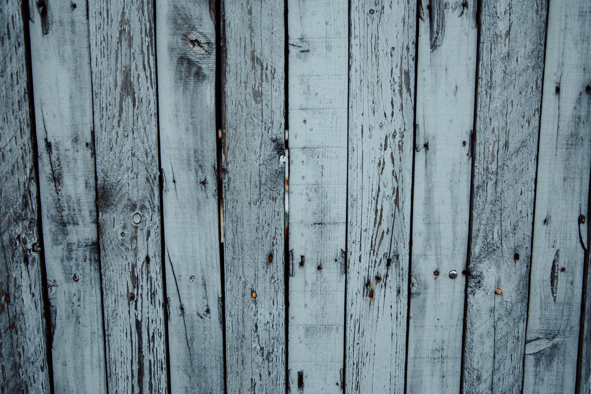 Why Is My Fence Turning Grey? | Sheffield Fencing