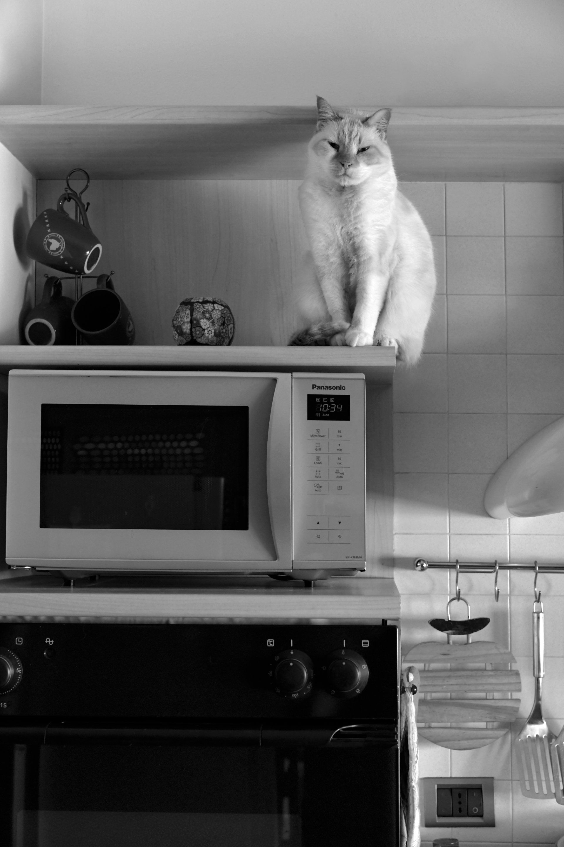microwave