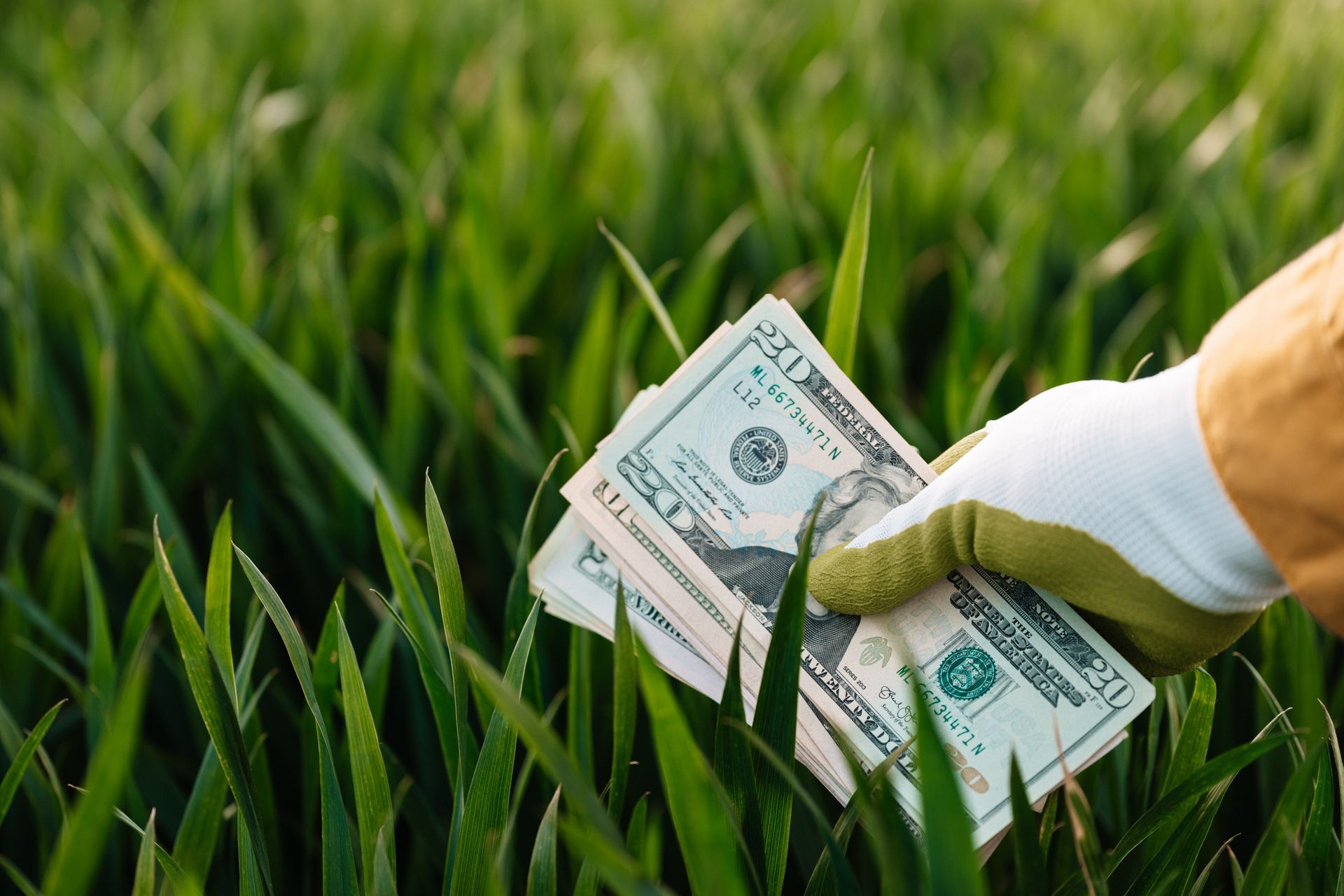 The 2024 Cost of Artificial Grass: A Comprehensive Pricing Guide