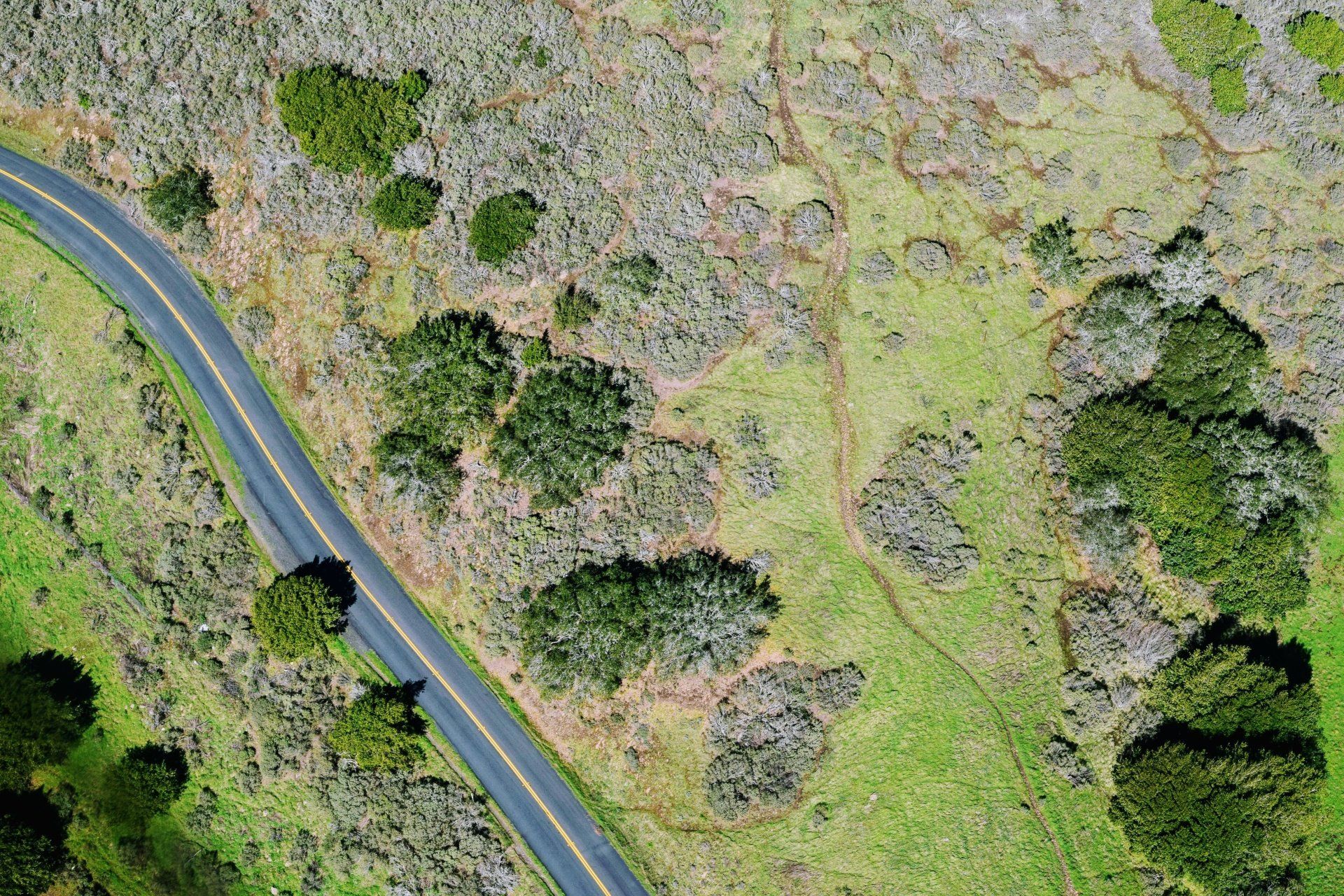 what is engineering topography