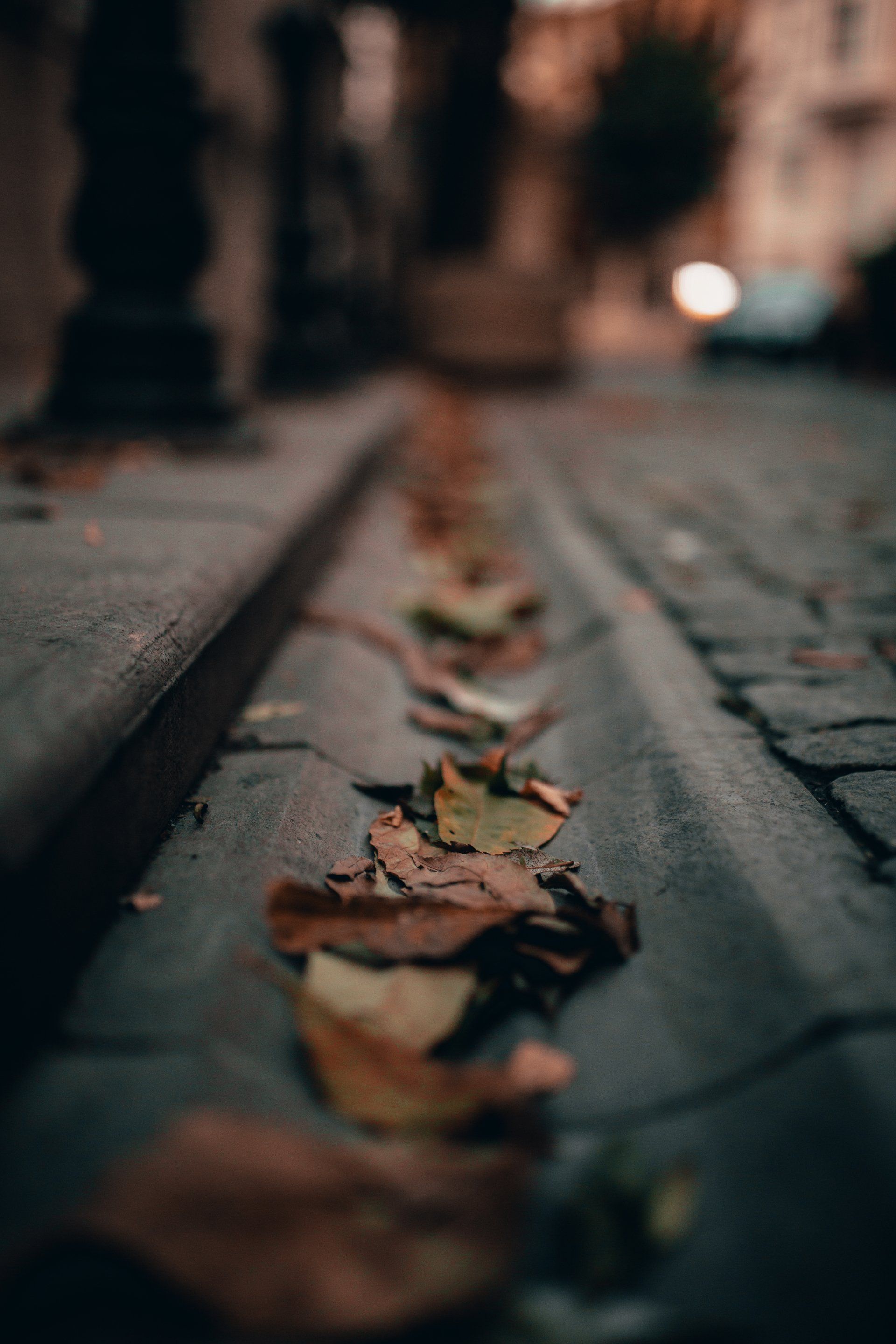 Autumn leaves in a gutter on a cobblestone street.