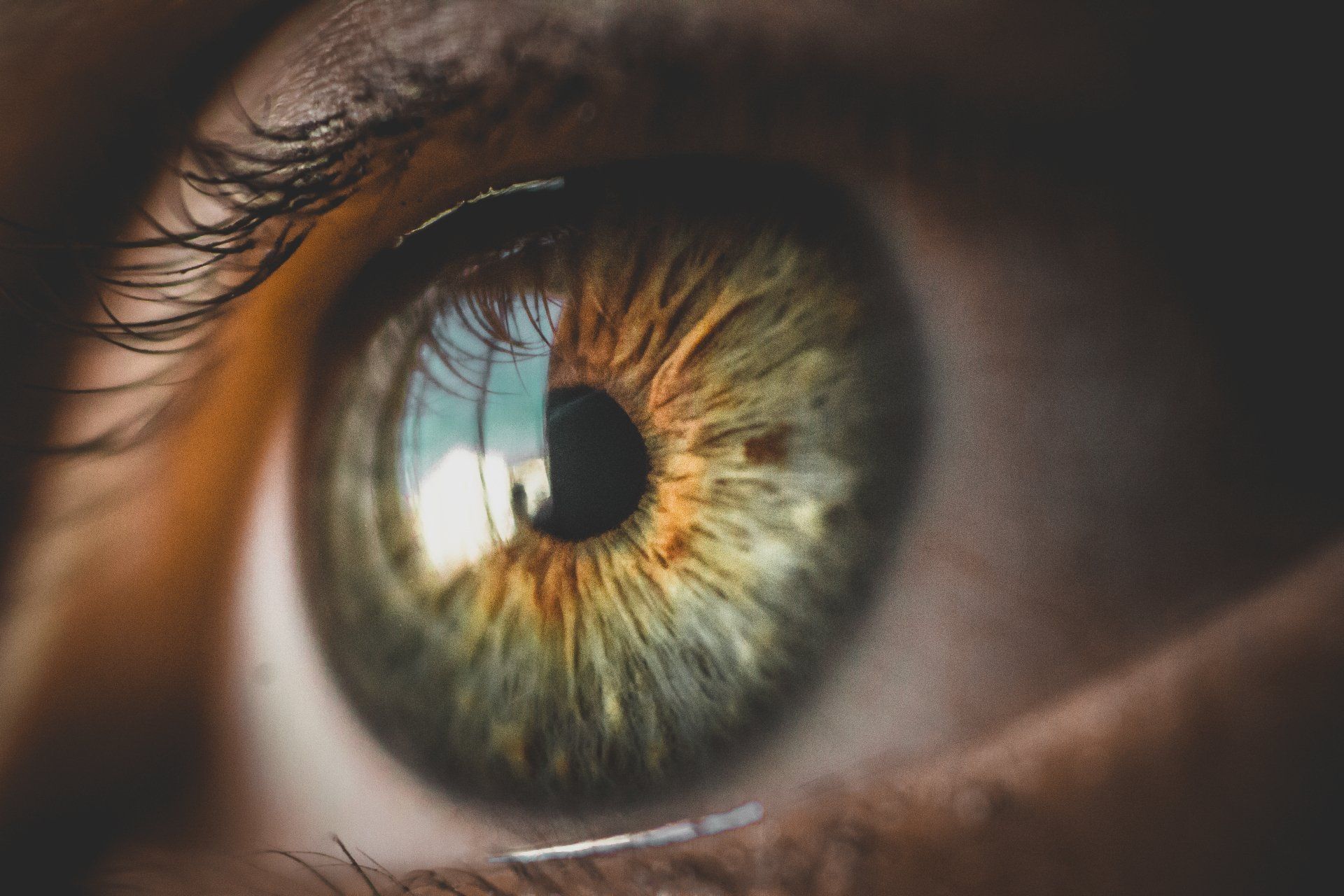 close up of eye green amber