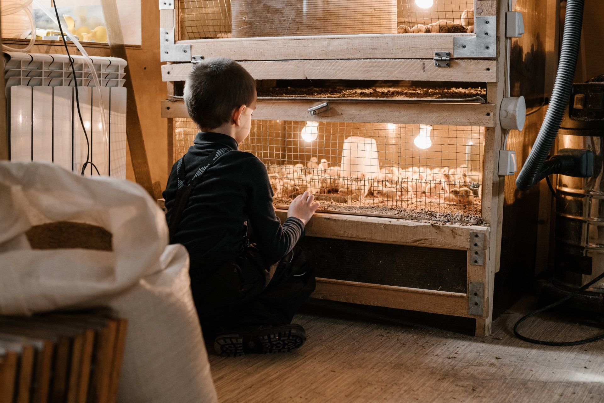 Young Boy is Sitting on the Floor Looking at Chickens in a Cage — KeyBay in Emerald Hills, NSW