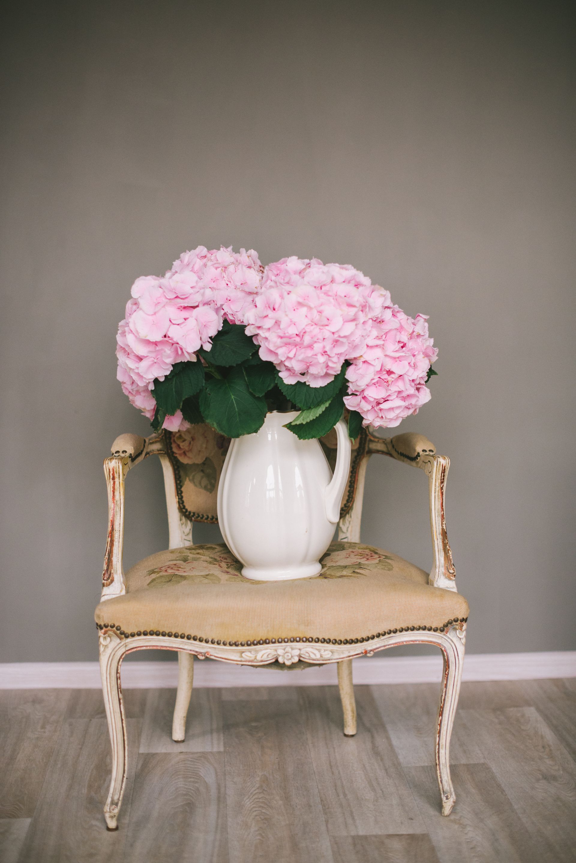 Shop hydrangeas for your home , perfect for a DIY