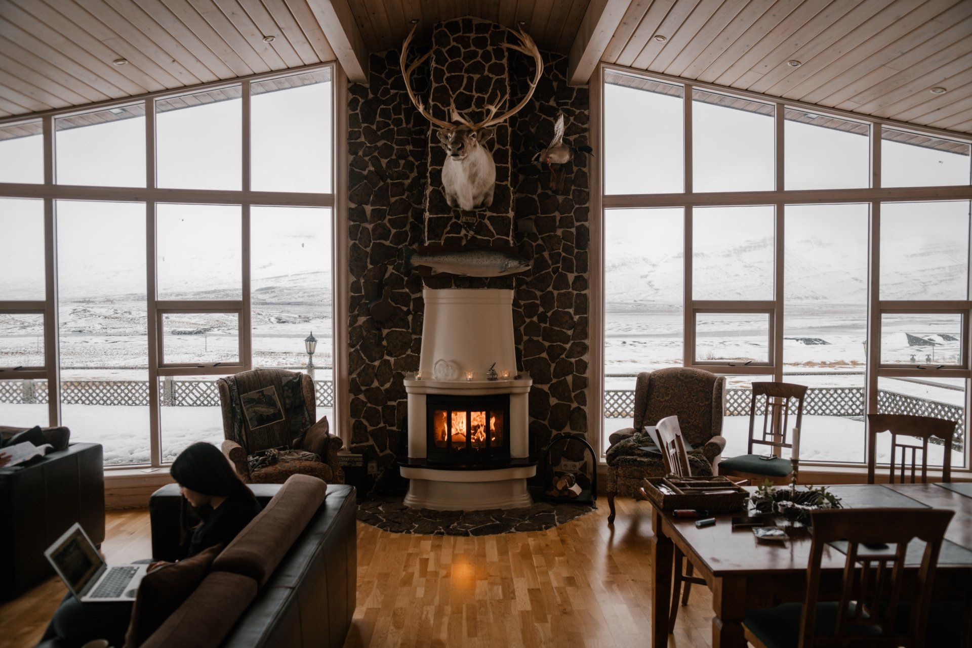 Fireplace Inspection