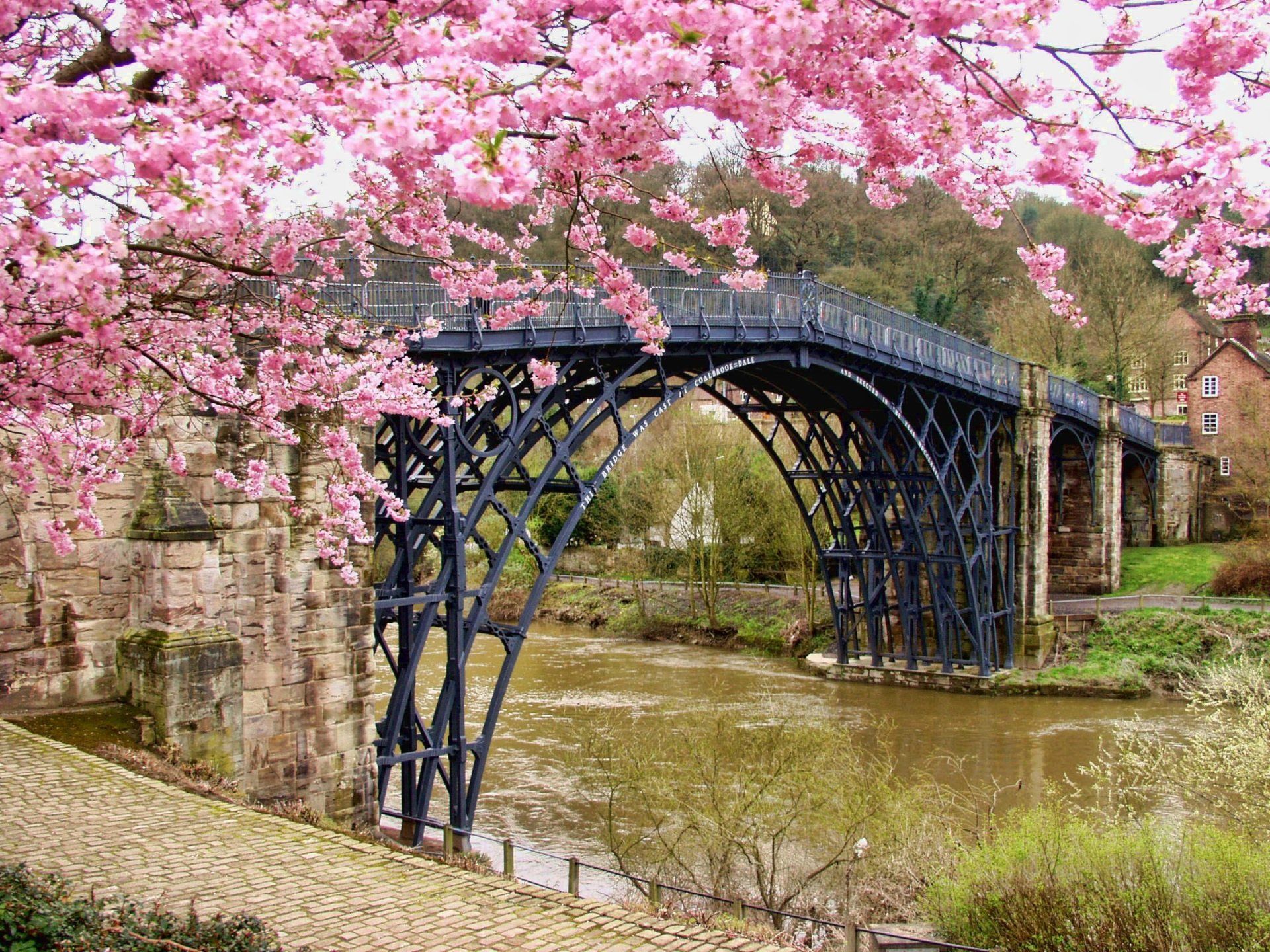 Uma ponte sobre um rio com flores rosas nas árvores.
