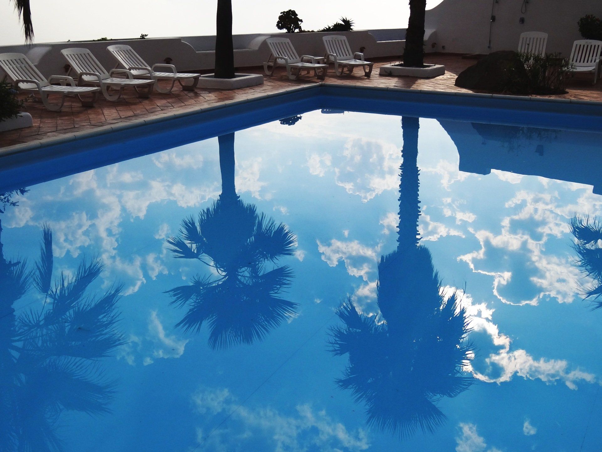 Pool with palm trees and clouds being reflected on the water on a hot summer day