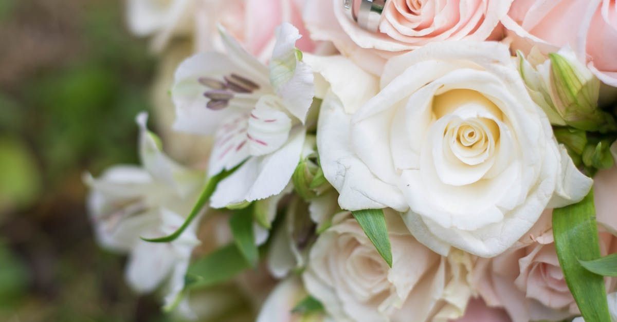 small wedding venues Louisville KY