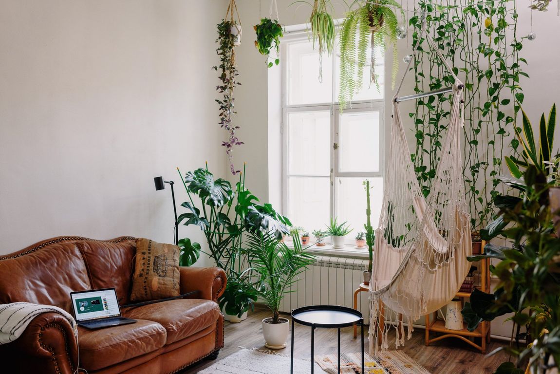 interior living room