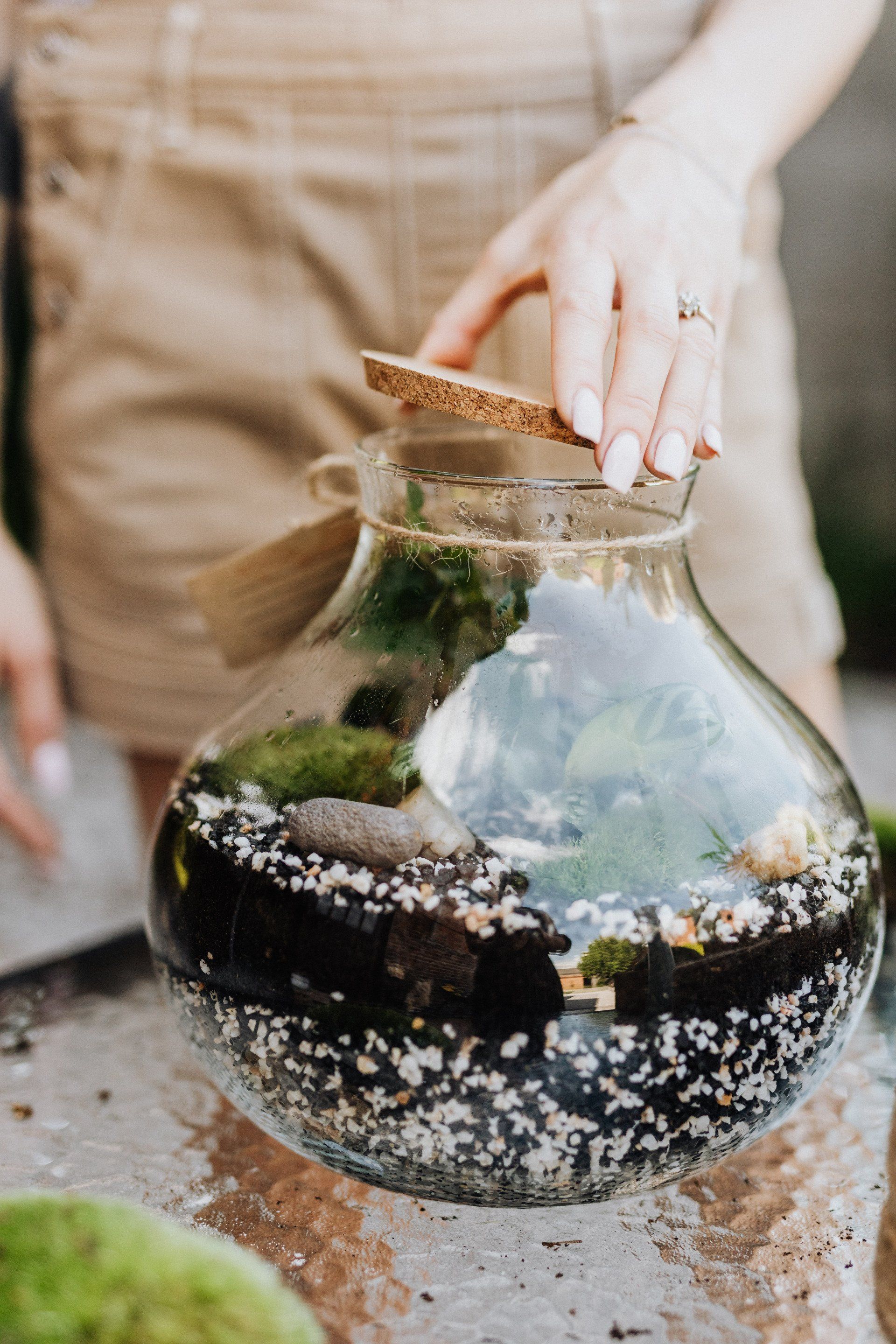 terrarium