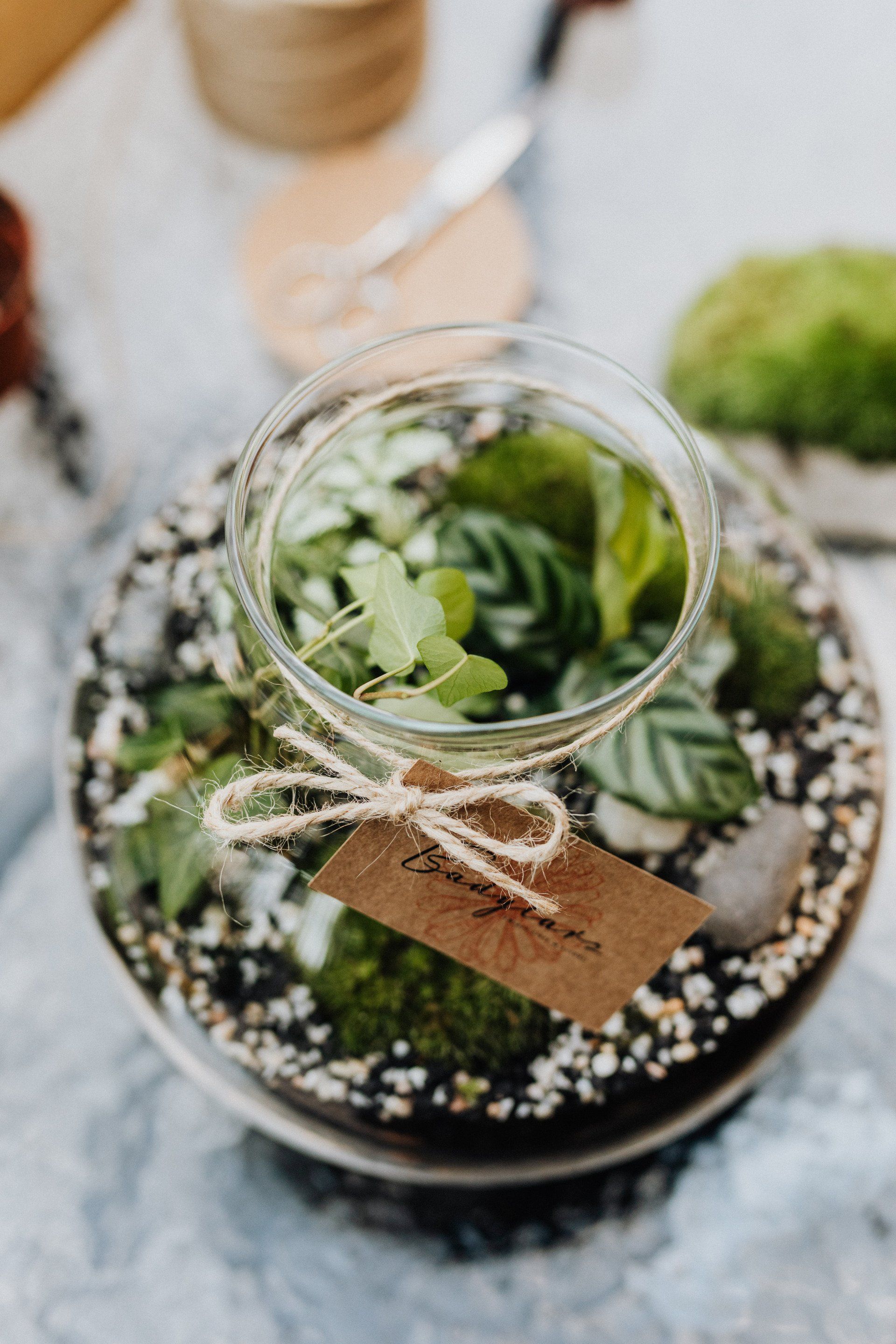 terrarium