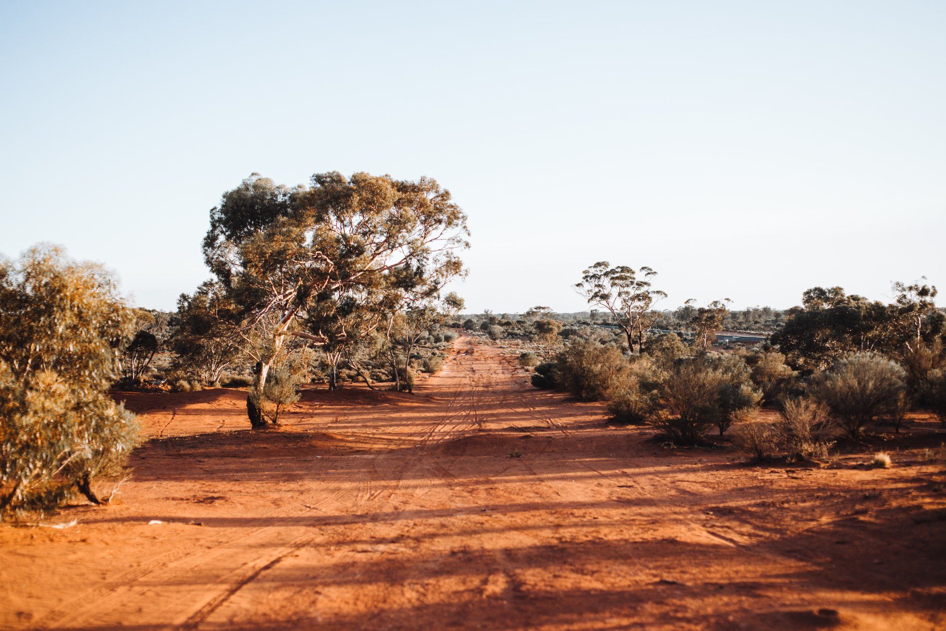 A Dirt Road in the Middle of a Desert With Trees in the Background — John Day Plumbing in Coolalinga, NT