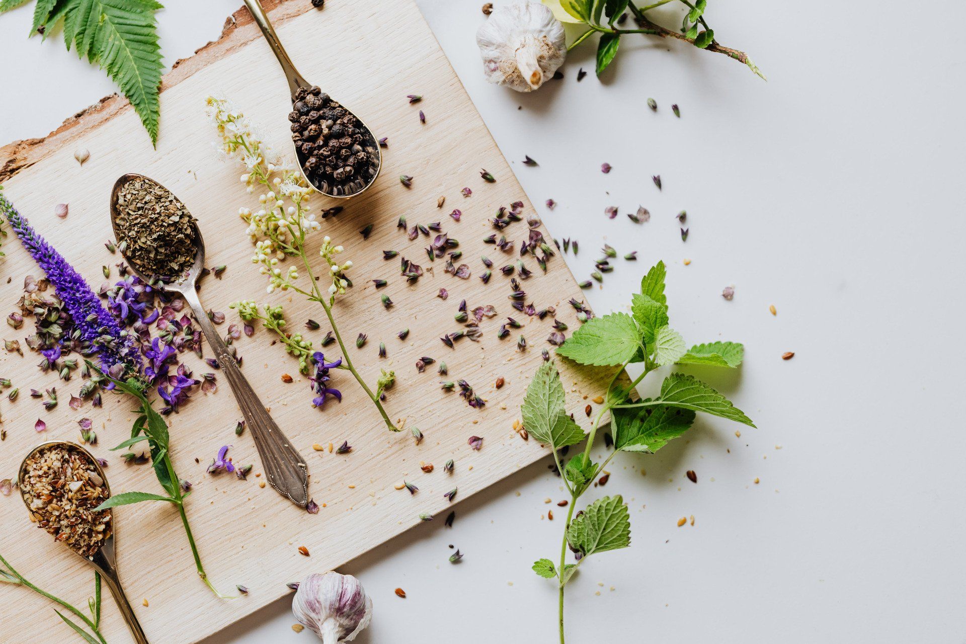 Assorted herbs and dried flowers arranged on a white tabletop with scattered seeds and leaves