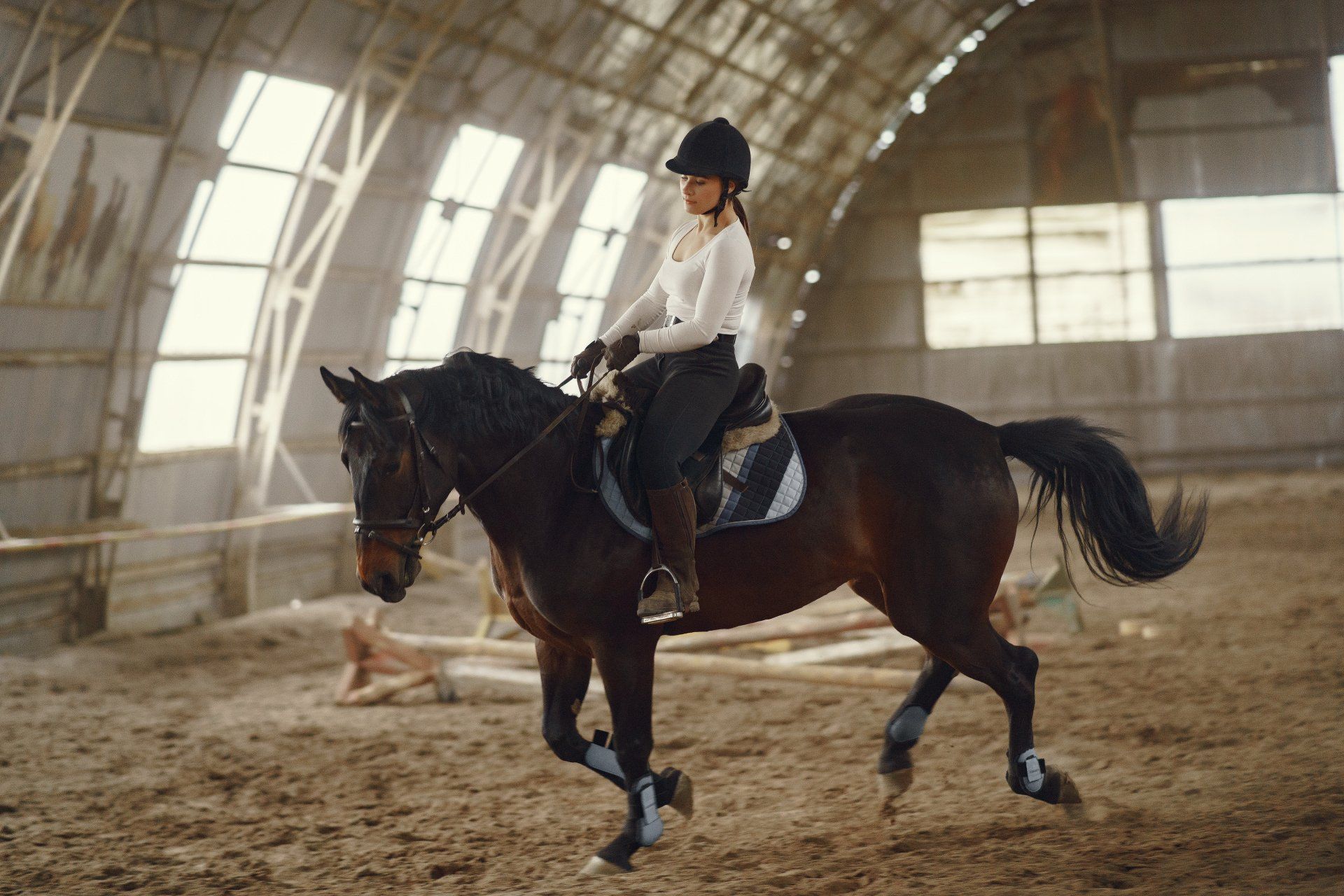 horse supplements