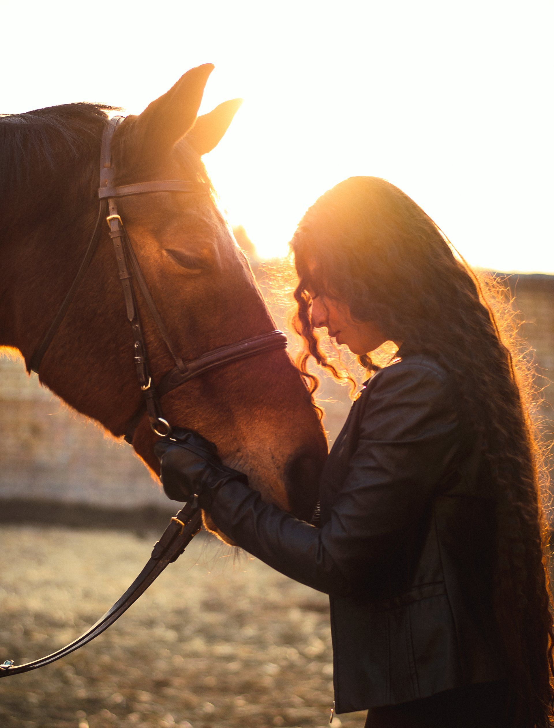 A woman with long hair is petting a brown horse