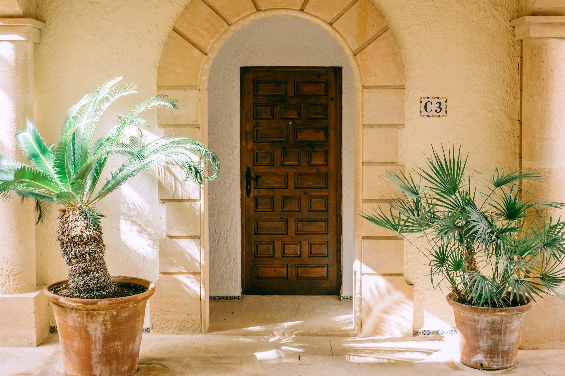 Two potted plants are in front of a wooden door.