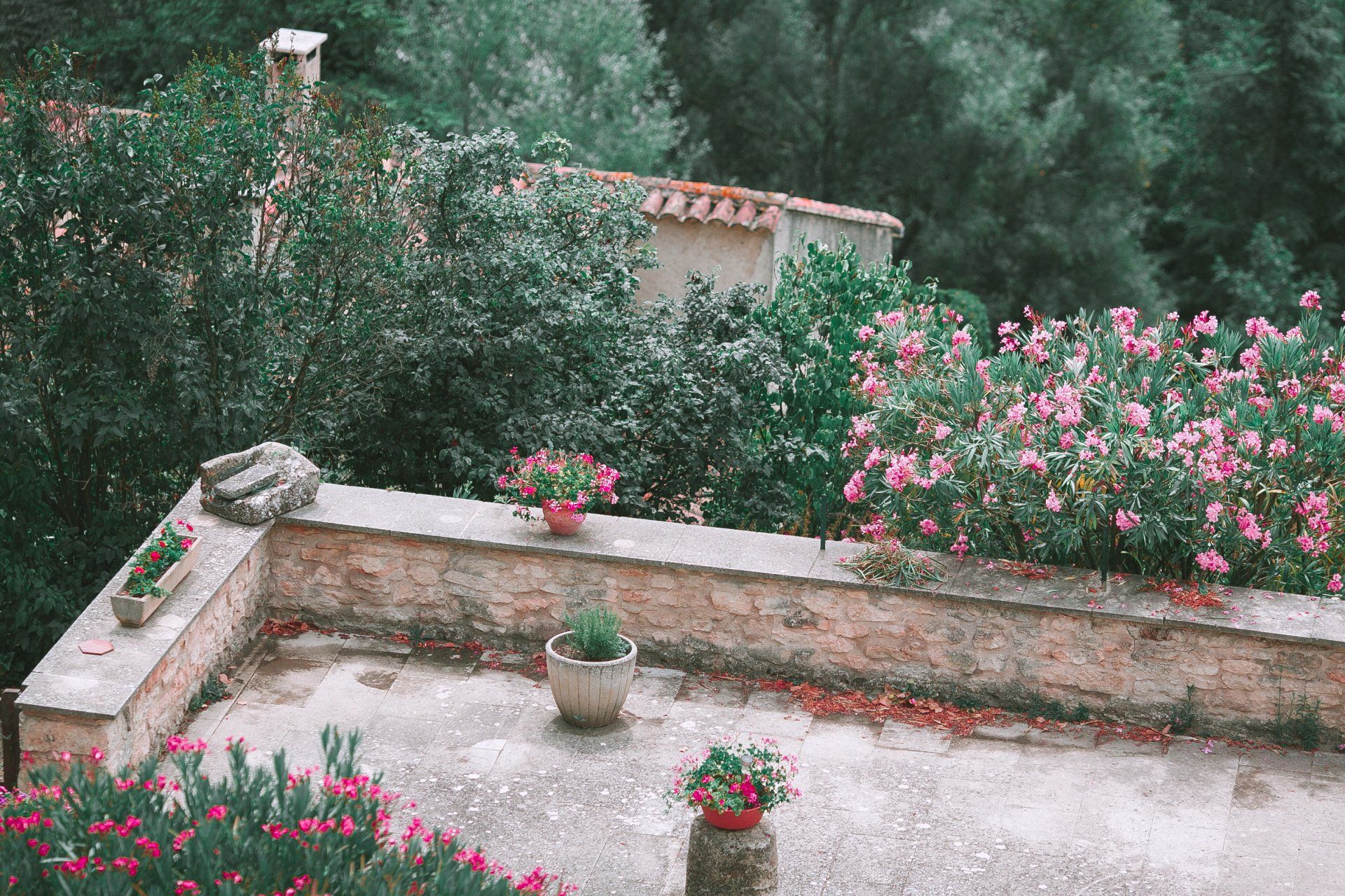 garden with paving walls and floors overview