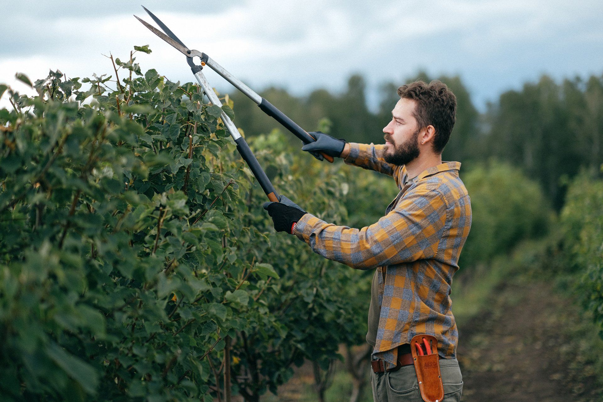 gardening-hand-tools