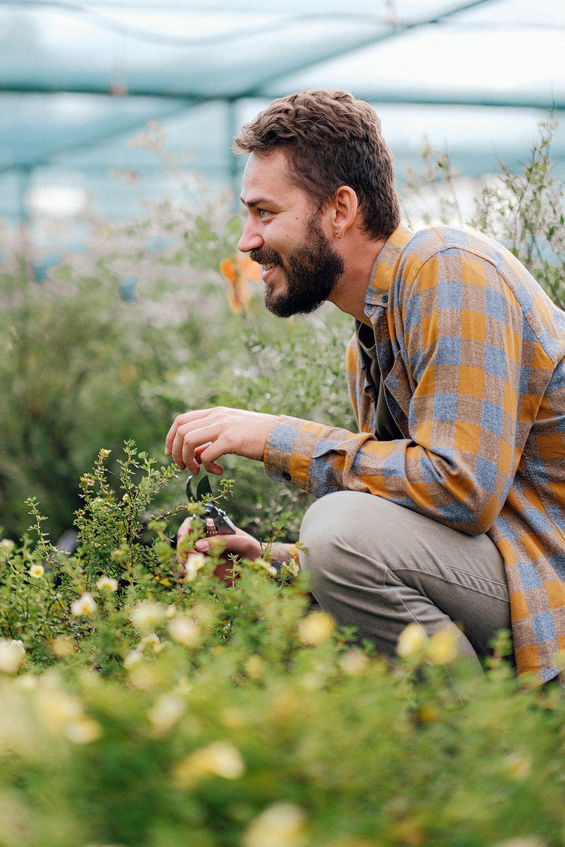 A man is kneeling down in a greenhouse looking at plants.