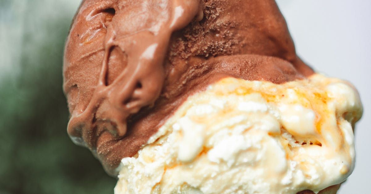 Chocolate and vanilla ice cream scoops stacked in a close-up shot. Grasshopper Farms Knightdale, NC