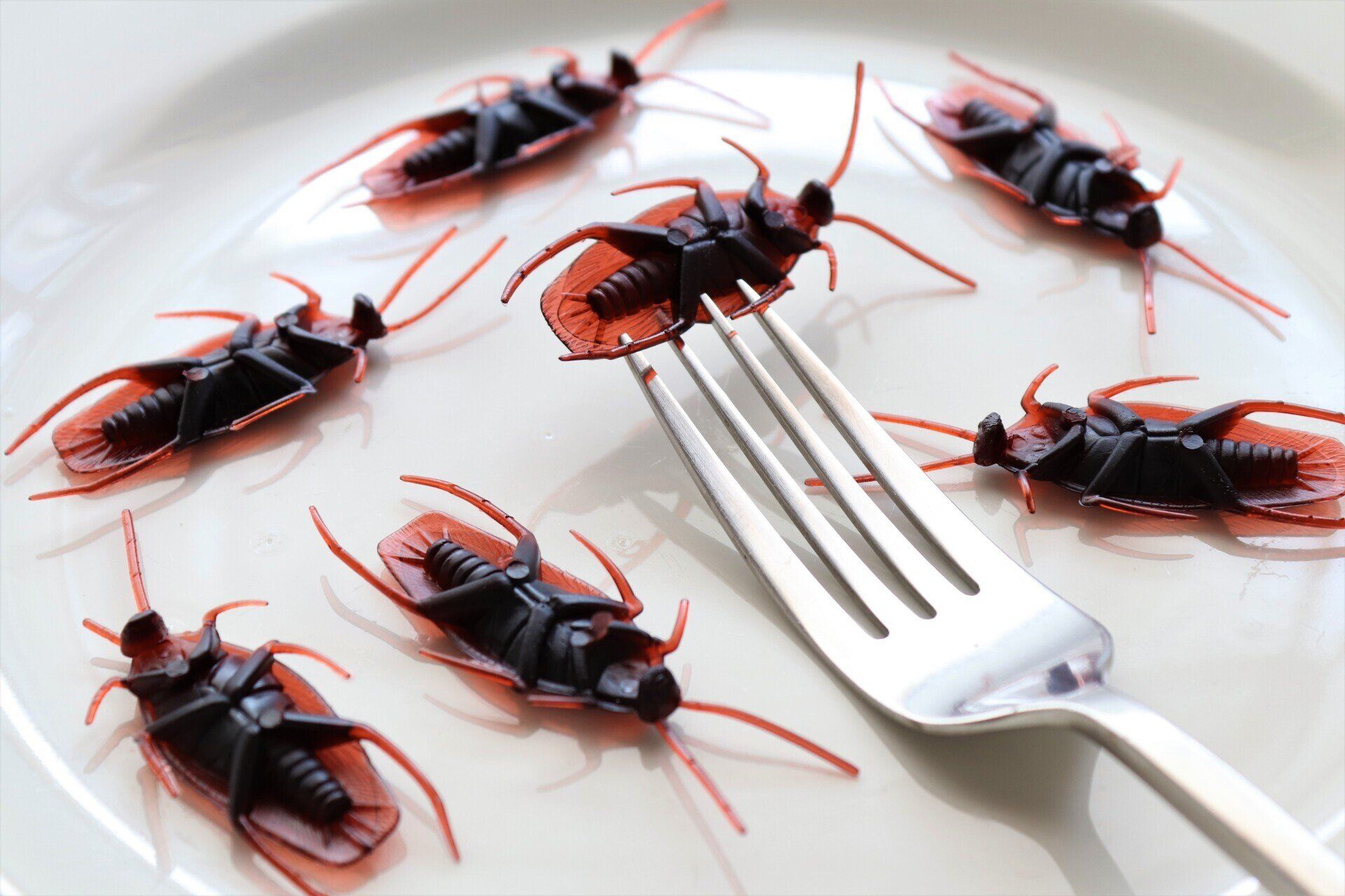 A plate with fake cockroaches and a fork on it
