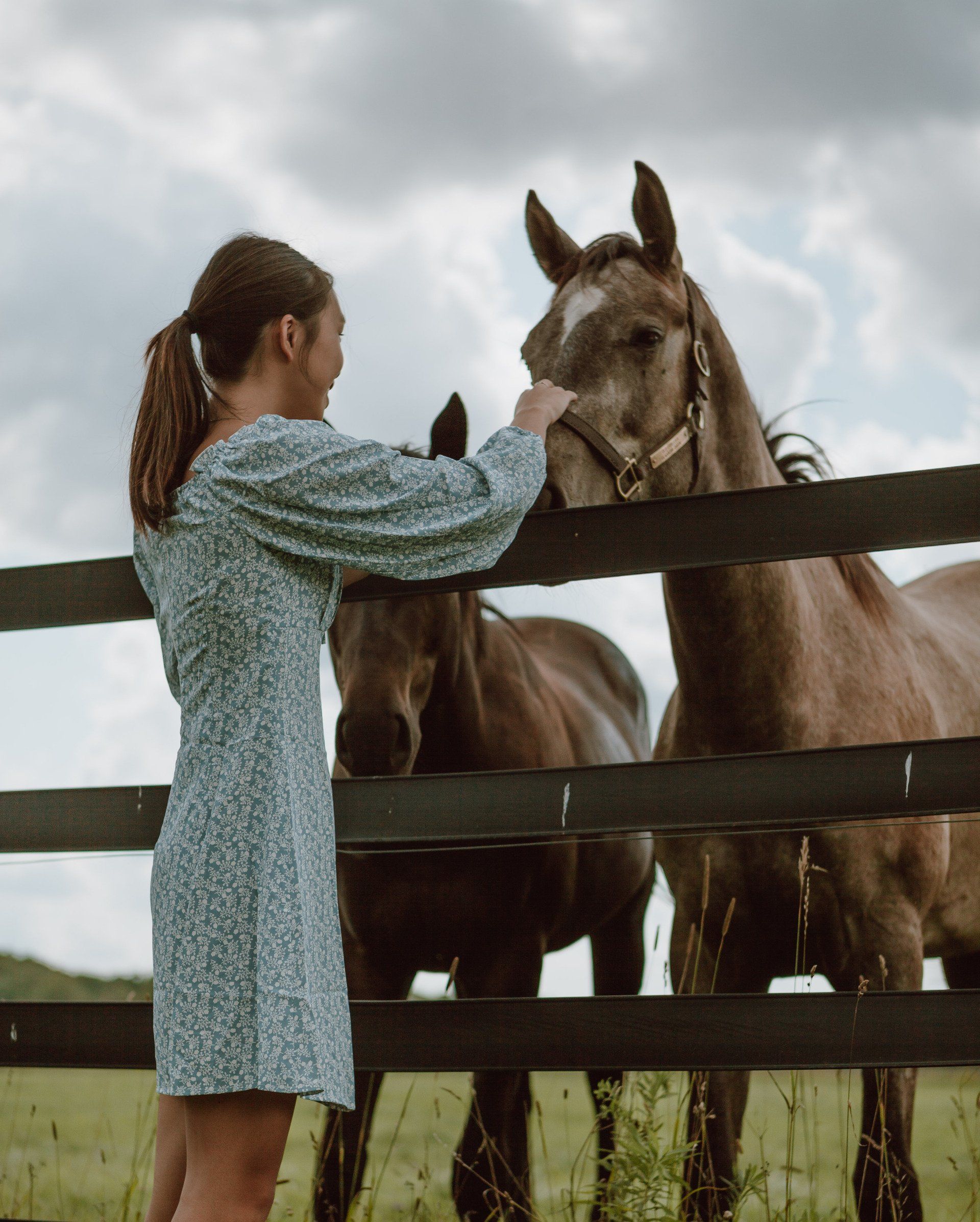 Vrouw in blauwe jurk aait een paard door een hek in een grasveld. Er zijn twee paarden aanwezig.