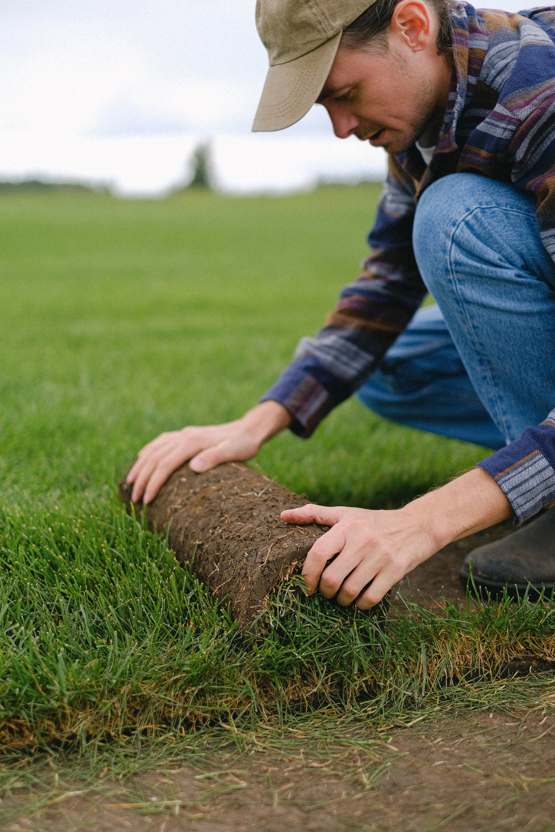 Enjoy a lush carpet of green with our sodding expertise