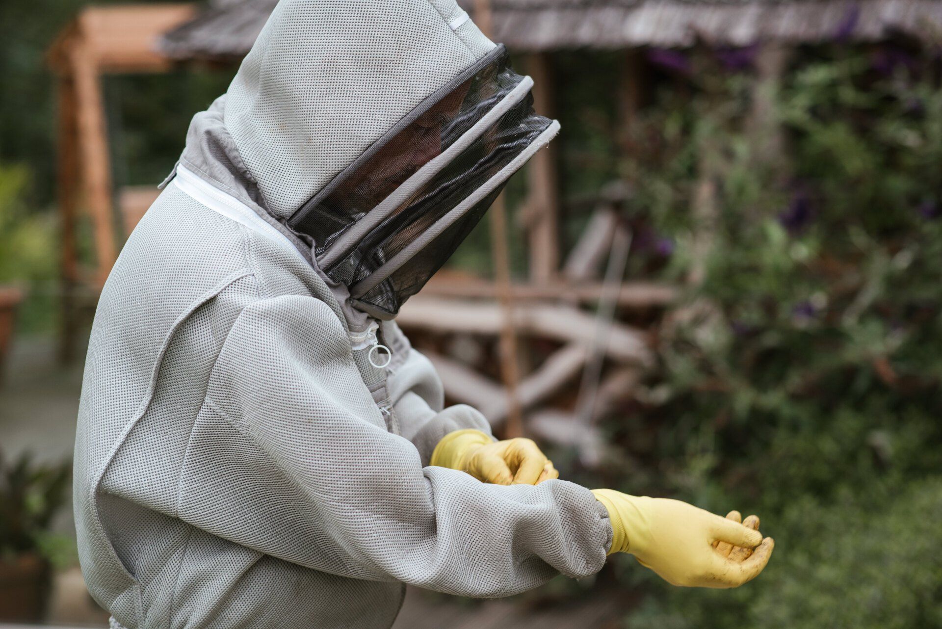 Disinfection of contaminated areas
