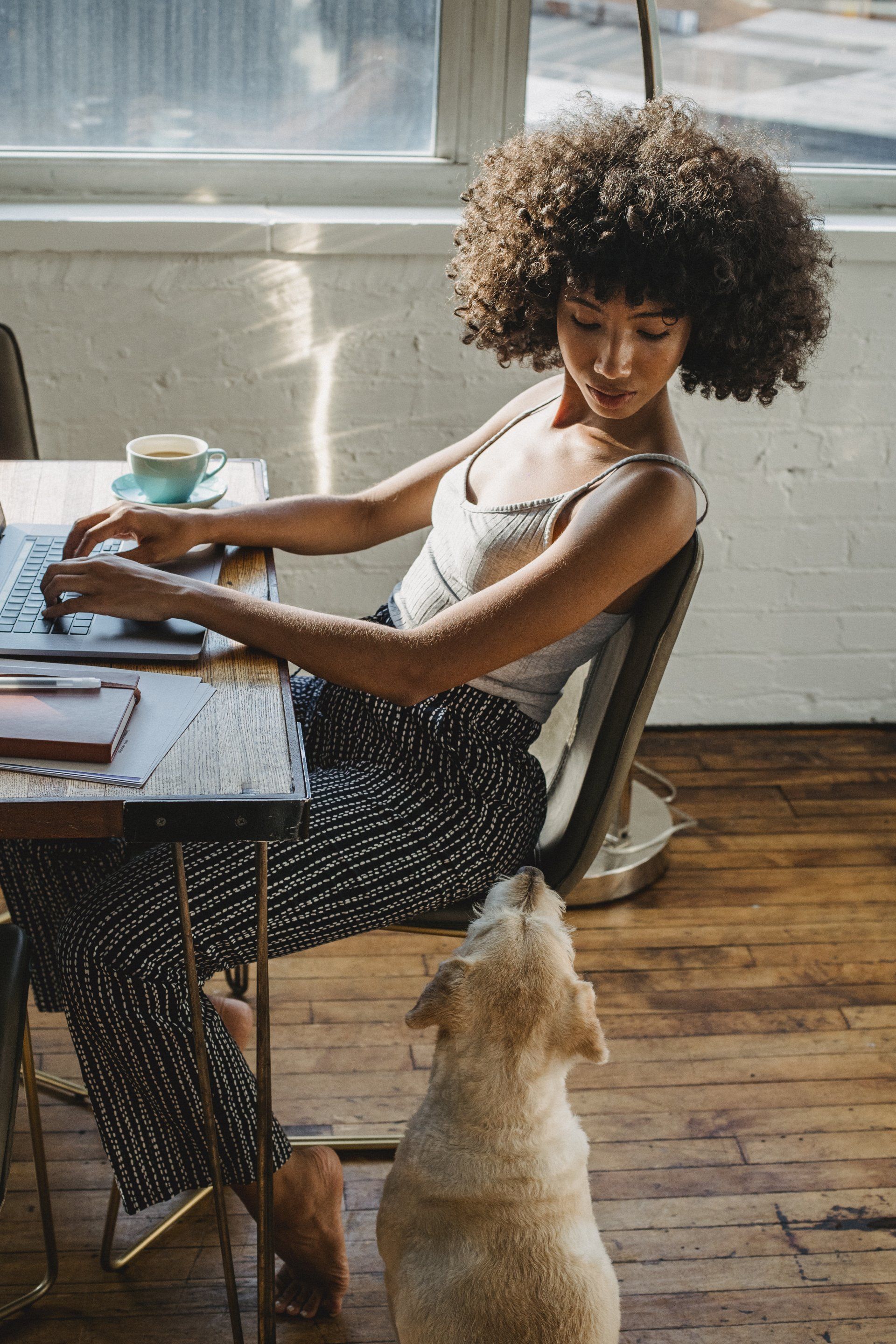 A woman is sitting at a table with a laptop and a dog.