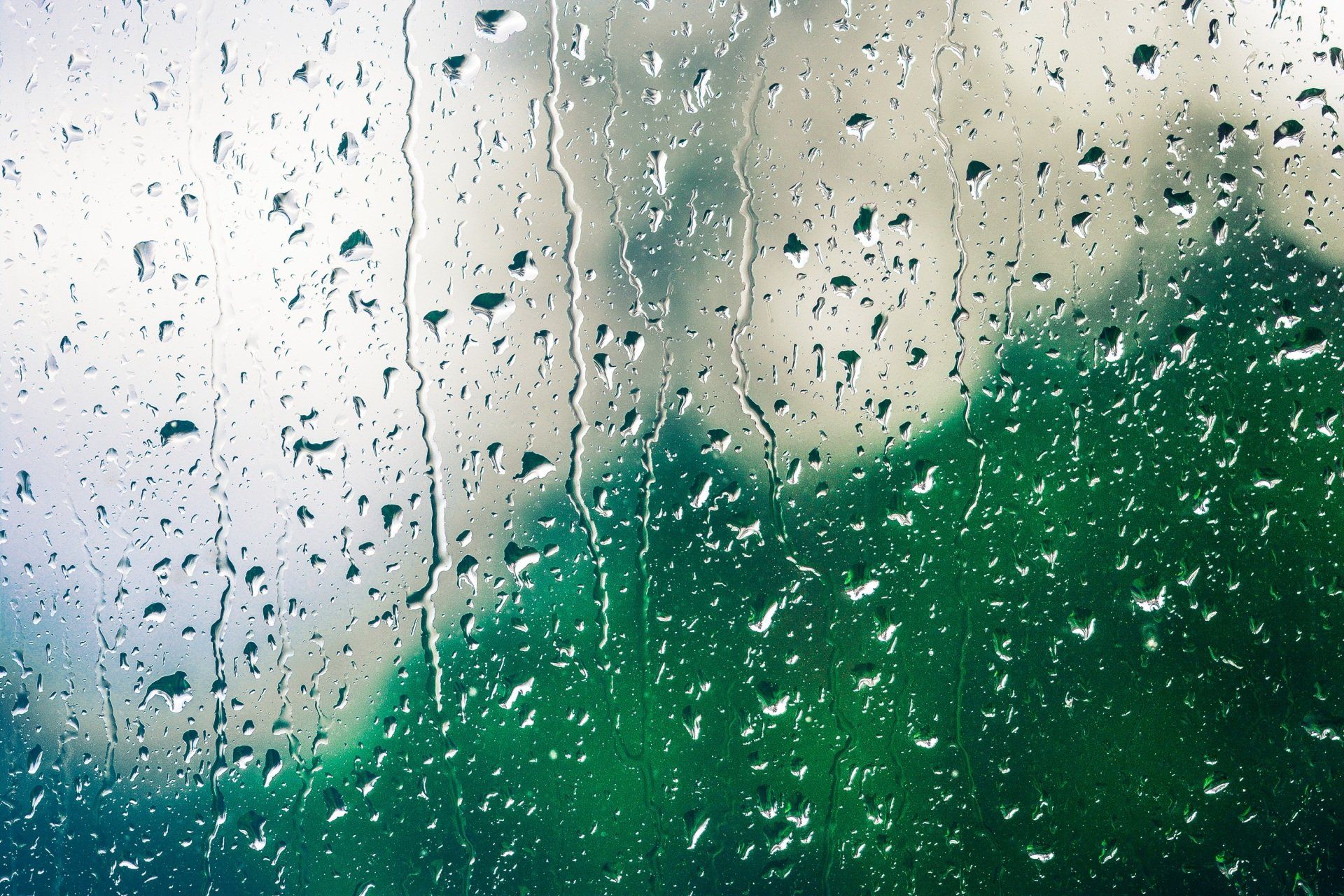 WINDOW Titel