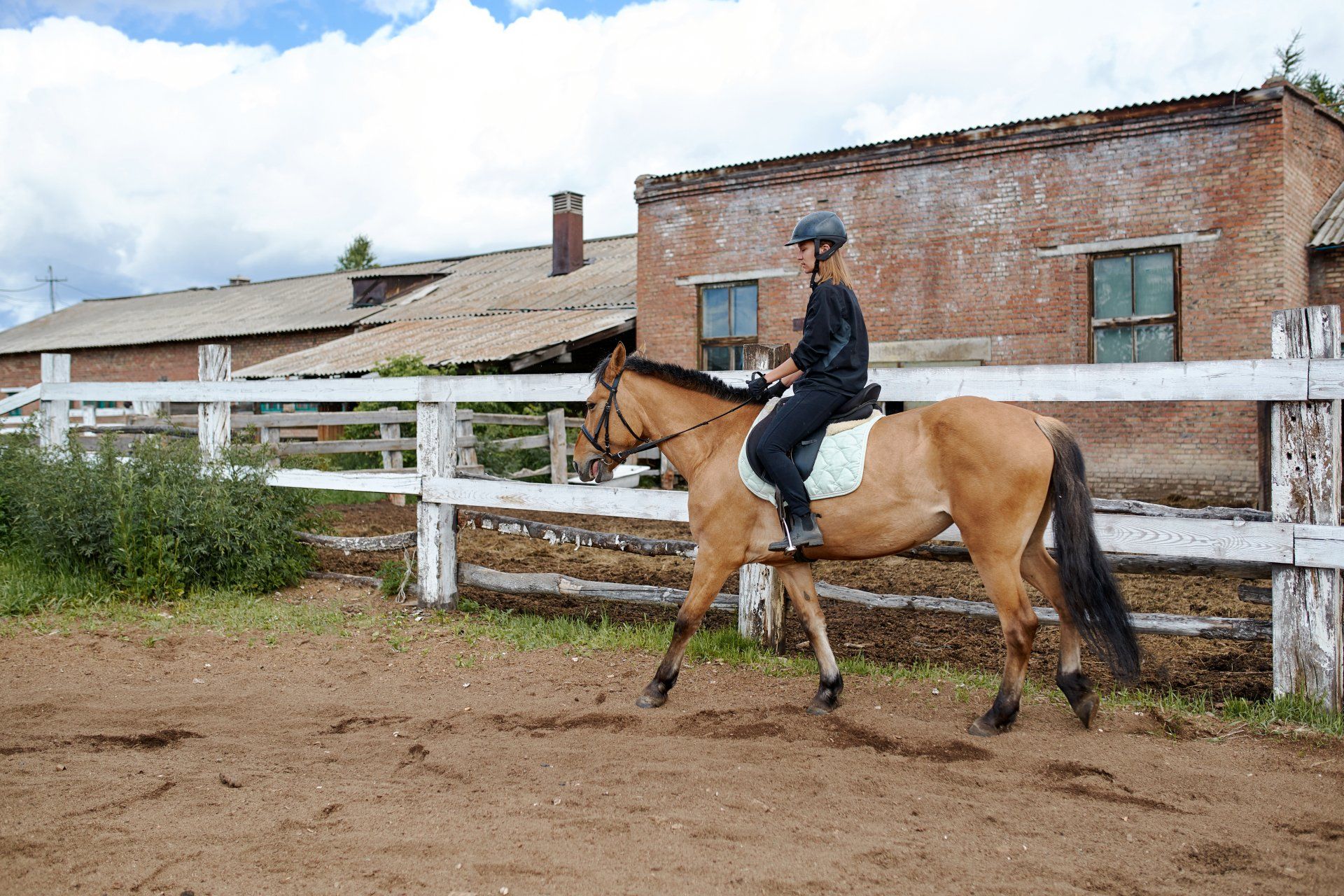 The best horse endurance training methods in the United States