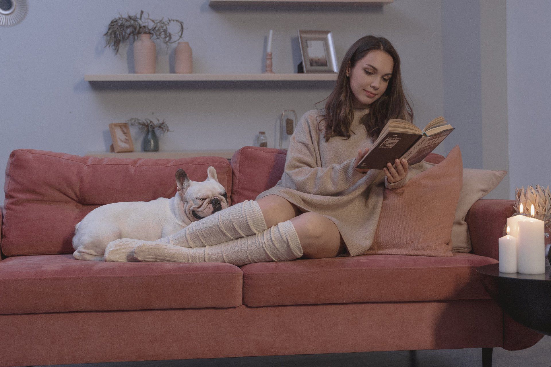 Woman relaxing on her sofa with her dog and reading a book.