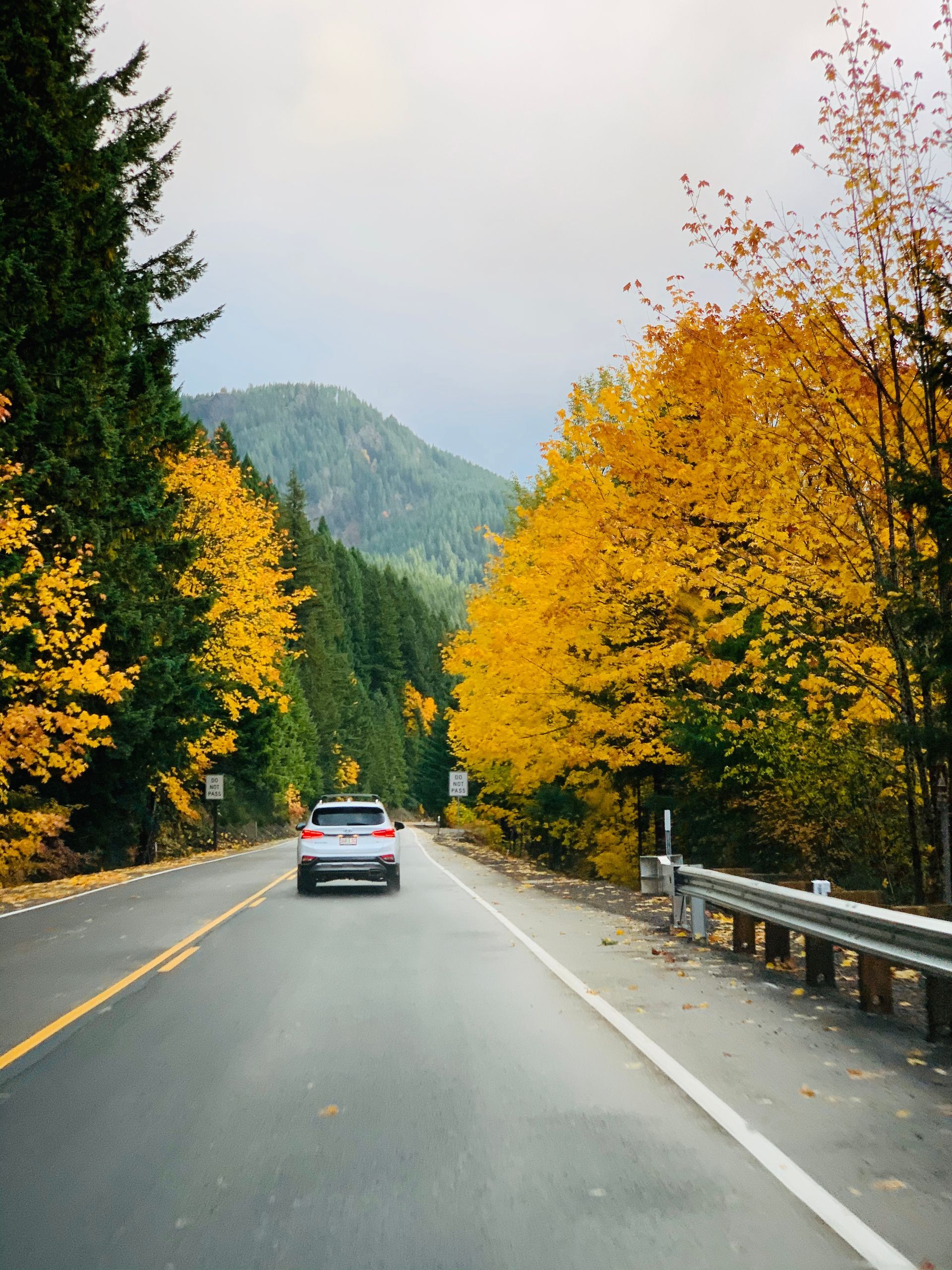 Sugar Mountain Fall Colors