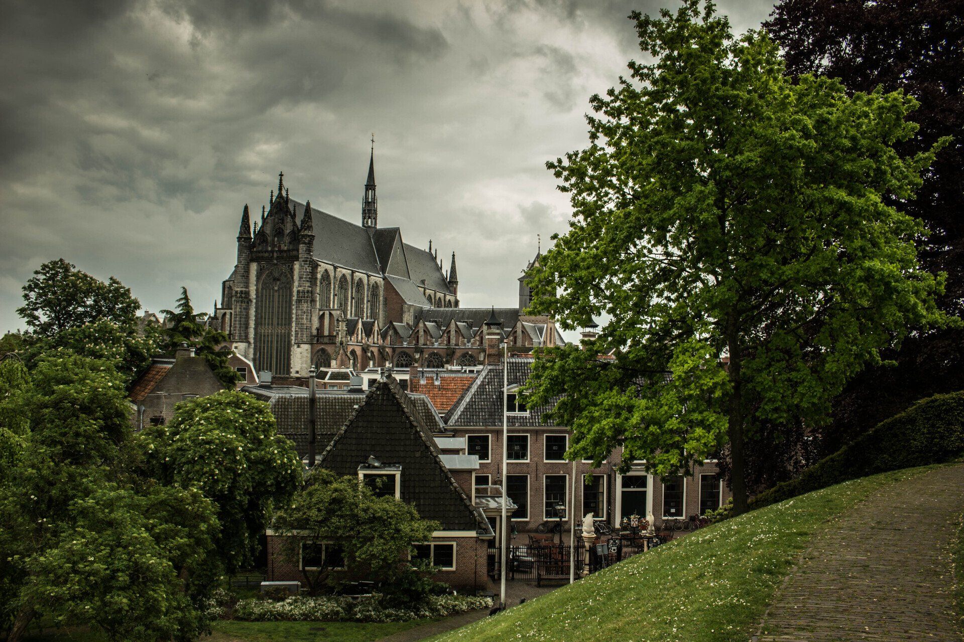 De gotische kathedraal rijst op boven gebouwen met rode pannendaken en groen, onder een bewolkte hemel.