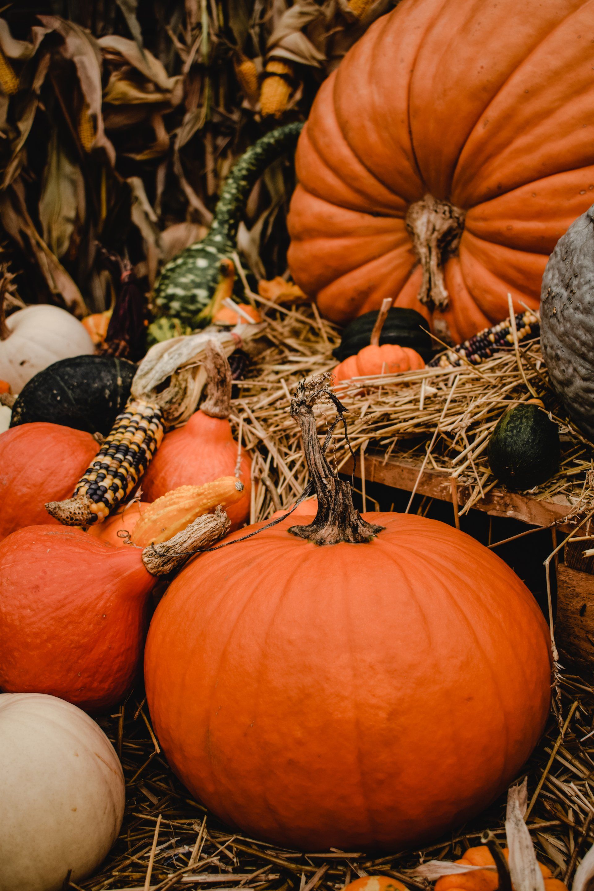 Large orange pumpkins and gourds piled together with straw in a rustic autumn display. Grasshopper Farms Knightdale, NC
