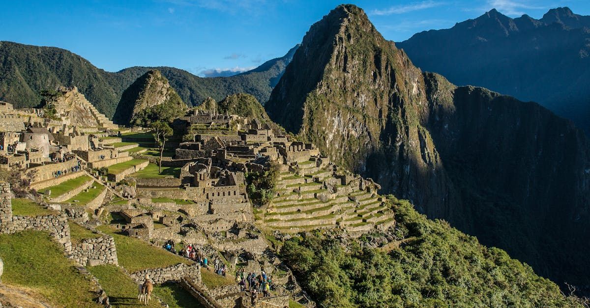 Las ruinas de Machu Picchu están rodeadas de montañas y árboles.