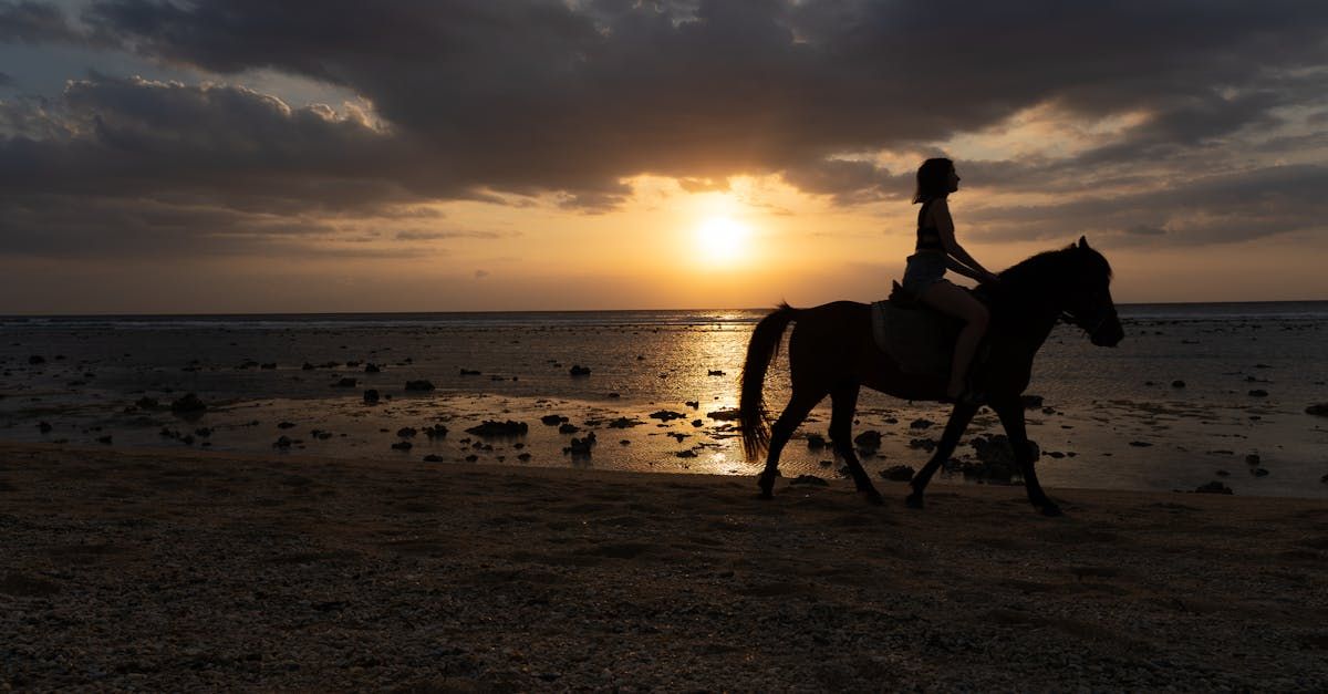 A person is riding a horse on the beach at sunset.