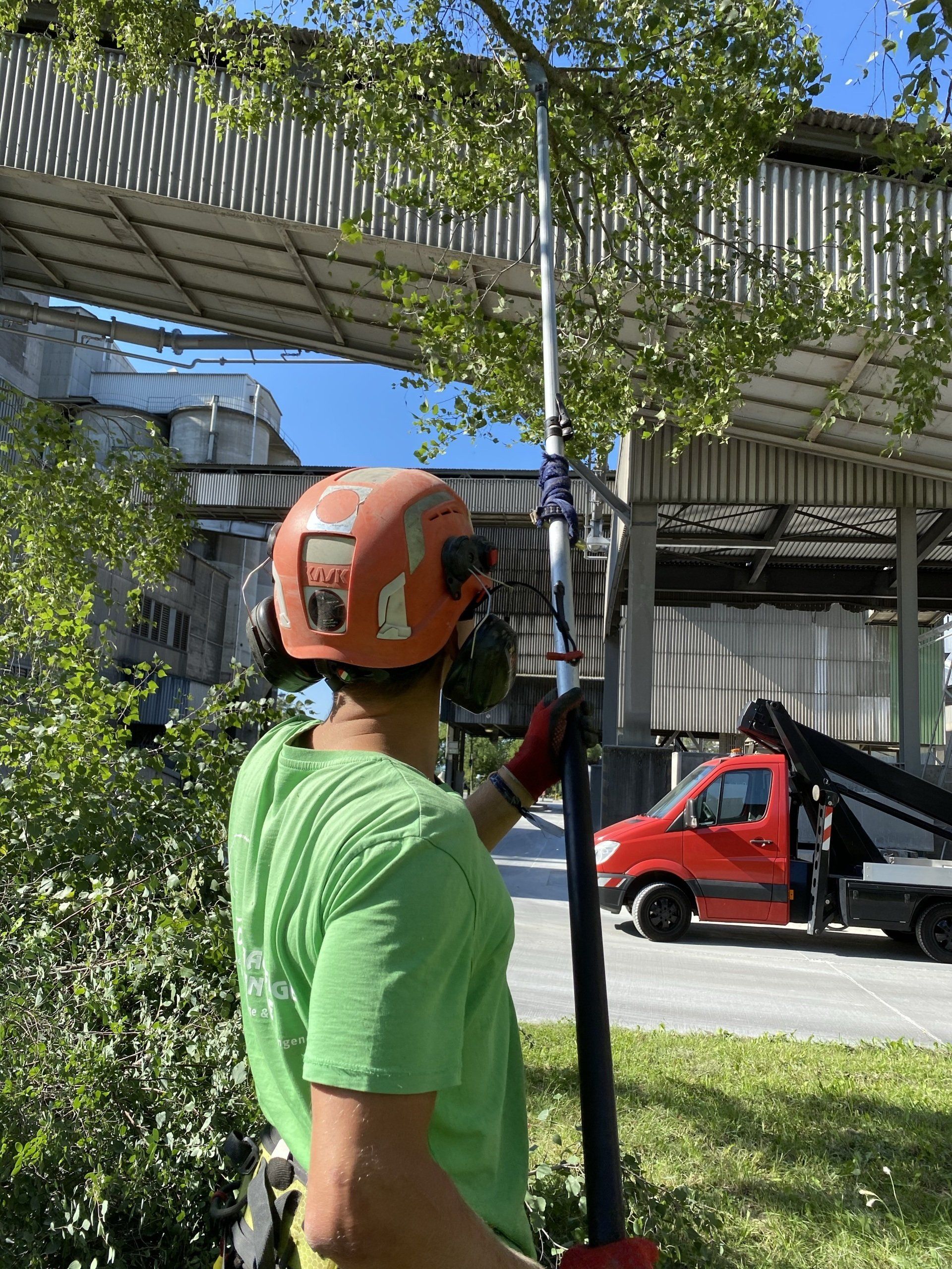 Bush hogging service in lush Nashville landscapes