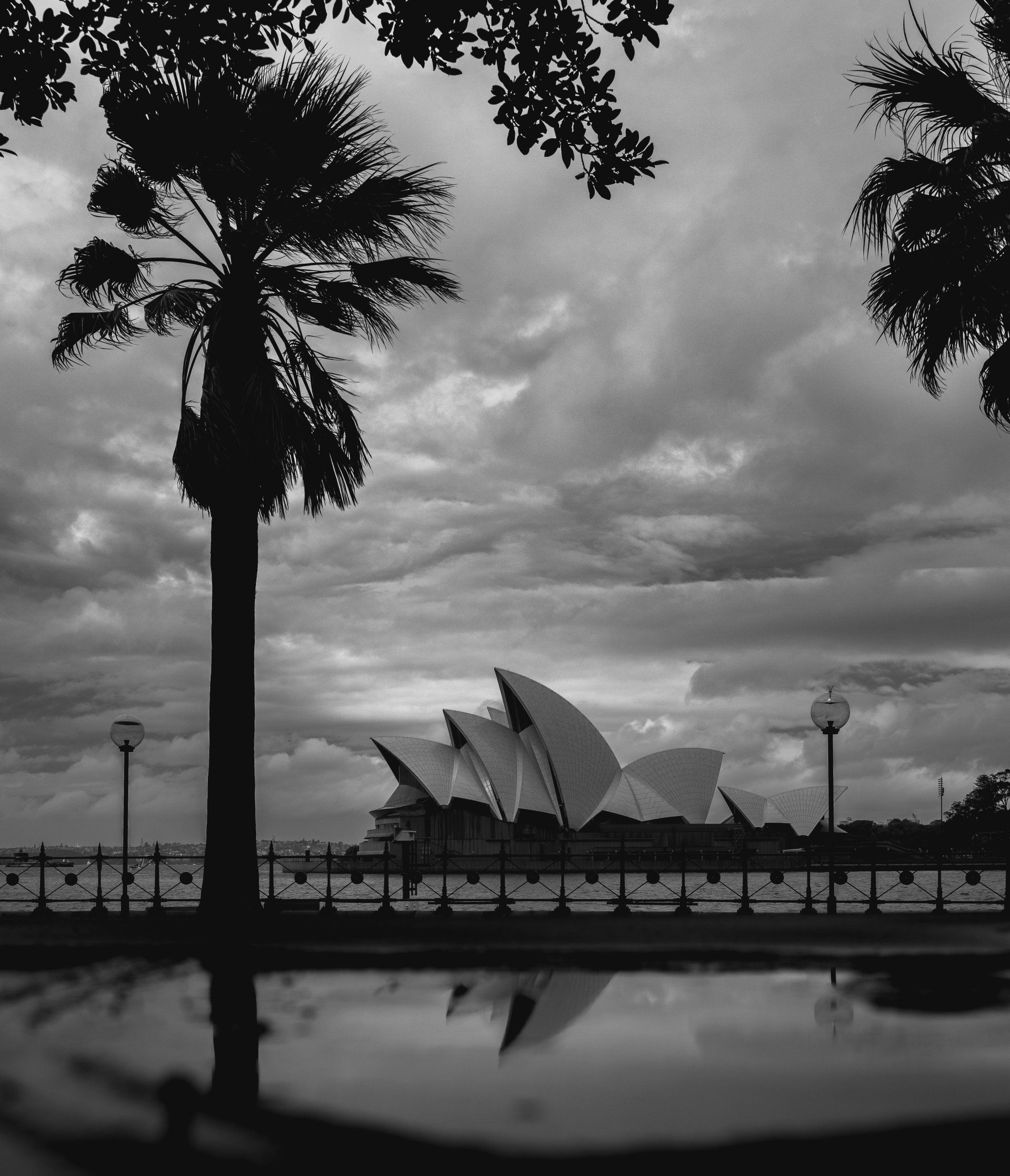 A Ópera de Sydney, em silhueta contra palmeiras, refletida na água, sob um céu nublado.