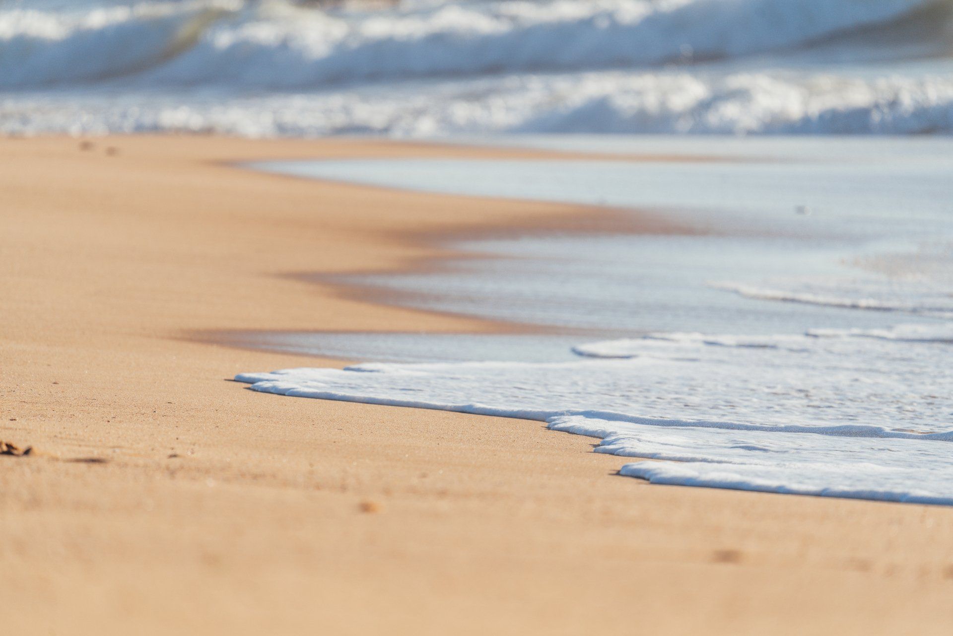 Manly Beach Holiday Weather | Manly Panorama