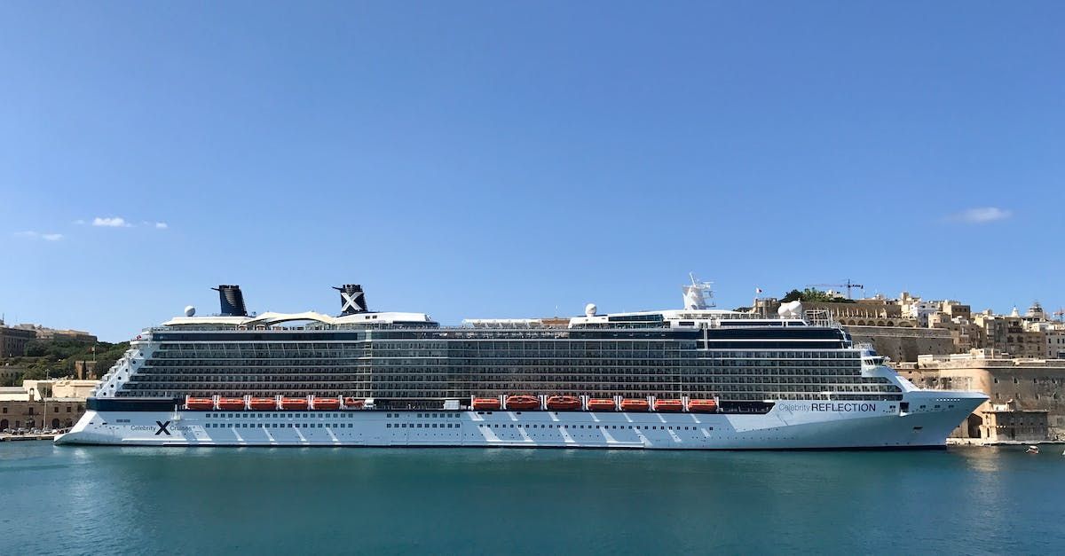 Nave Celebrity reflection