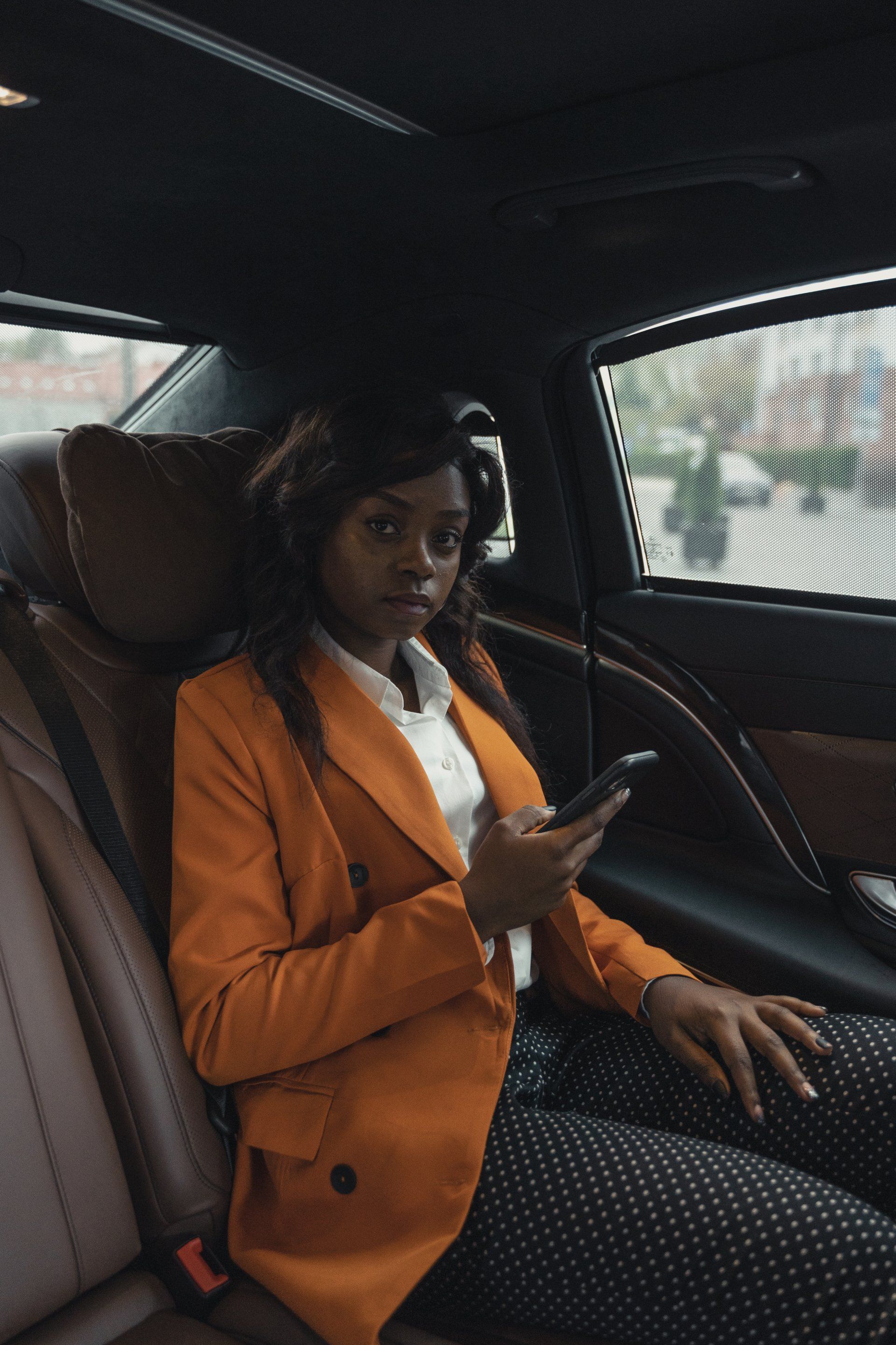Chauffeured Executive Travel in Bloomfield Hills, Birmingham & Novi