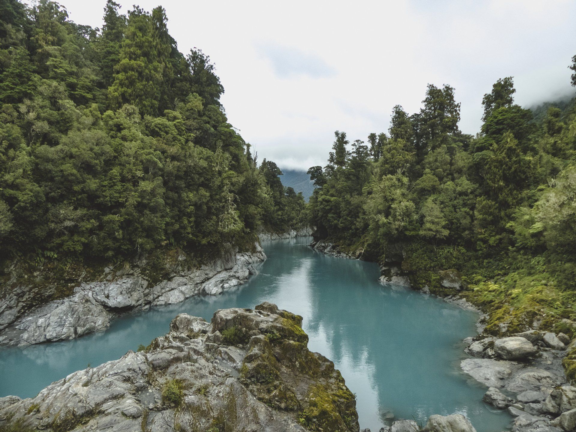 A river surrounded by trees and rocks in the middle of a forest.