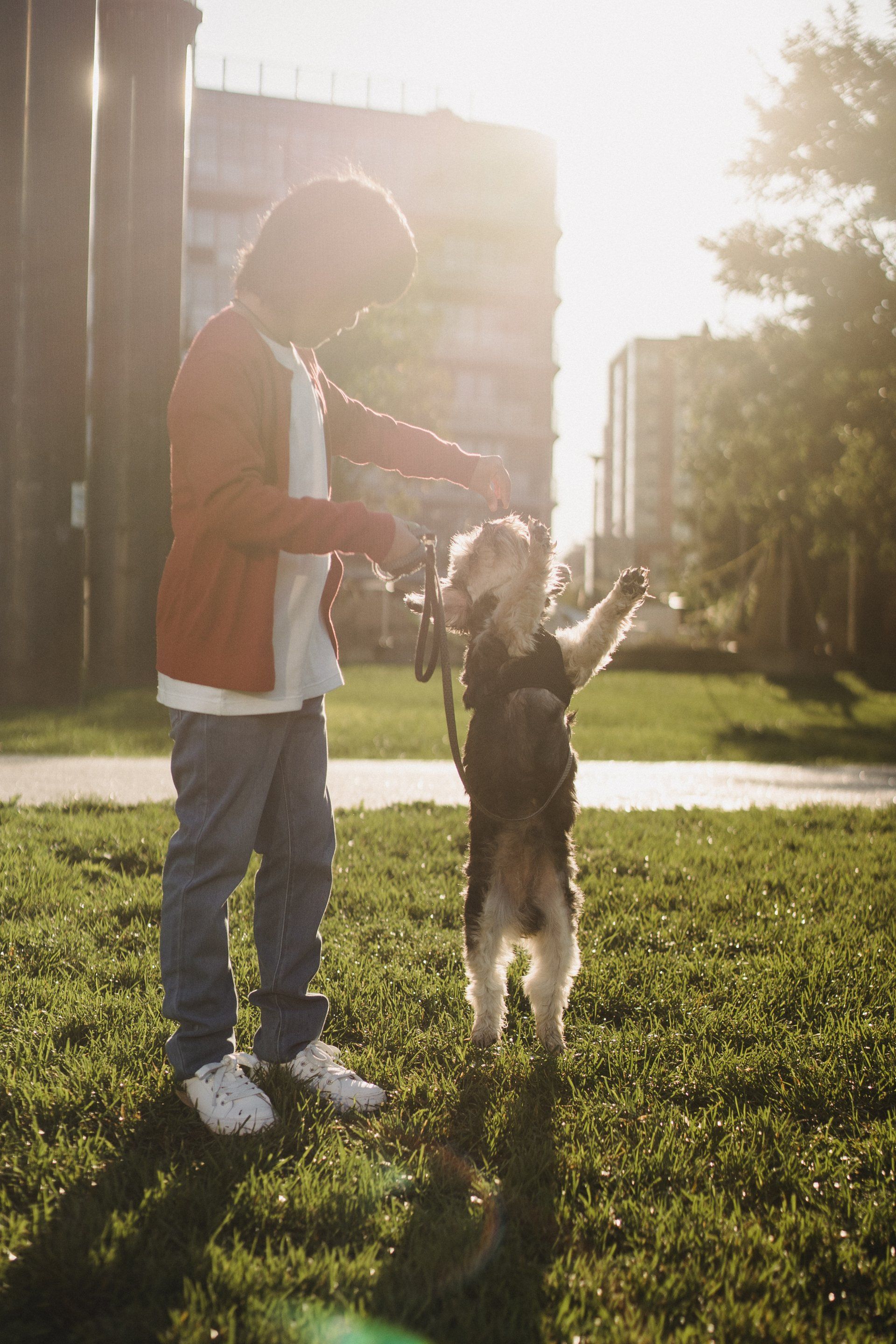 A young boy is playing with a dog in a park.