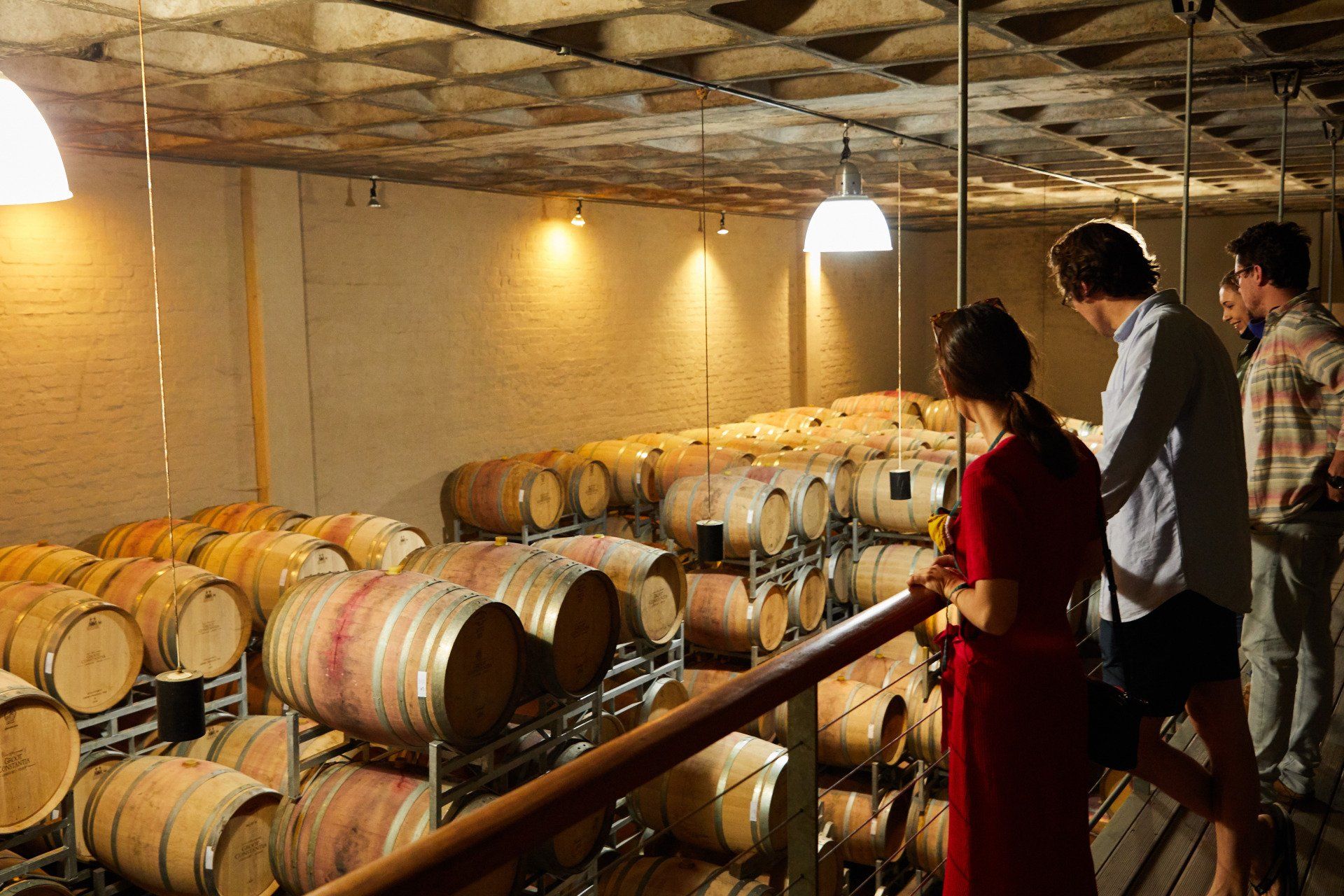 vineyard, wine tour, wineries, chile