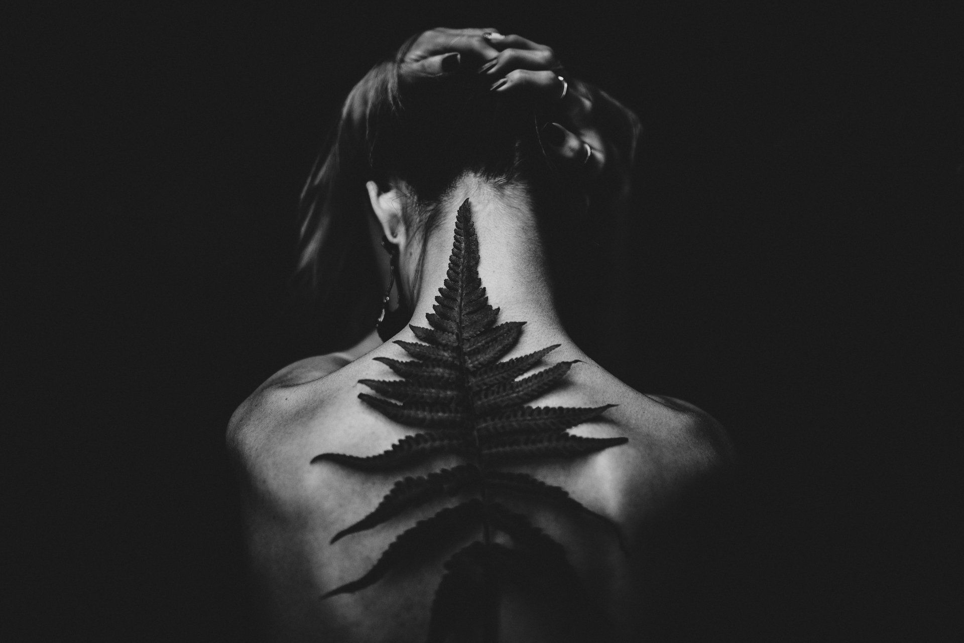 Back view of a person with a fern leaf resting on their back in a dark, shadowy setting. Black and white.