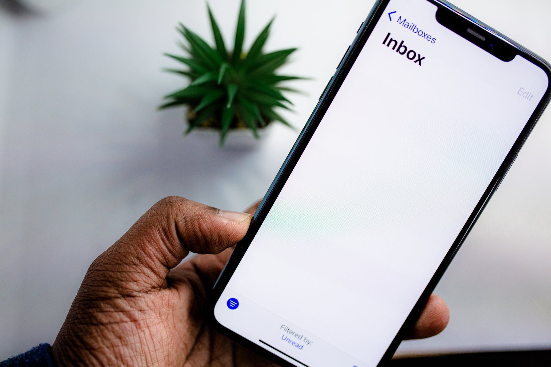 Hand holding a smartphone with a blank inbox screen beside a small potted plant