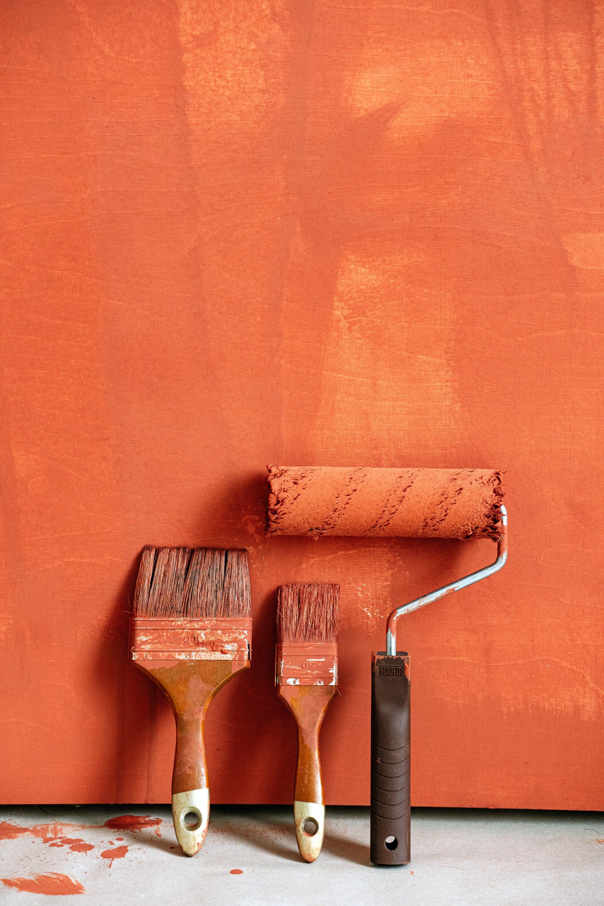 Paint brushes and roller in front of a freshly painted orange wall.