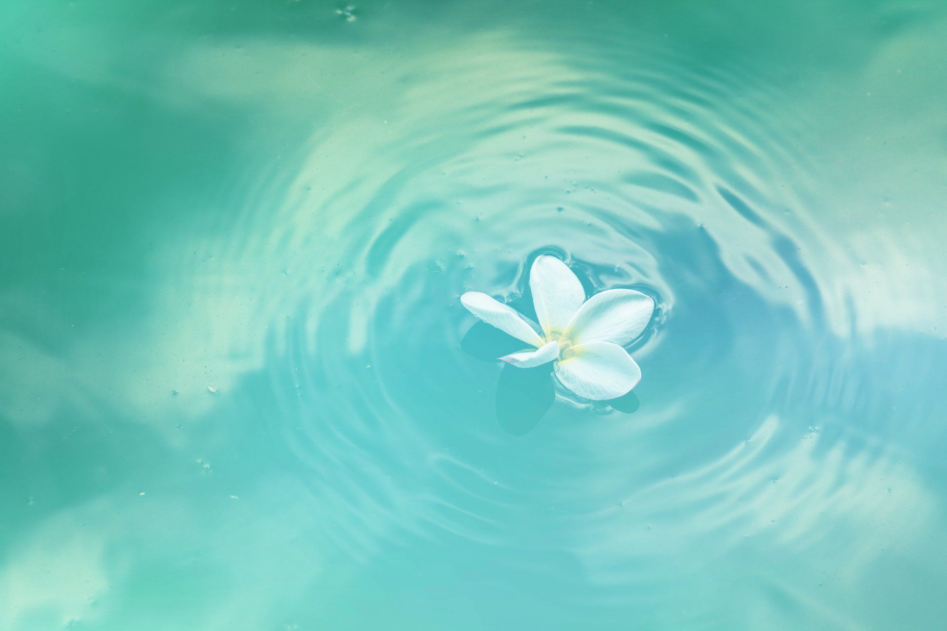 Nature's Breath - A Poem by Sue Cartwright, Spiral Leaf