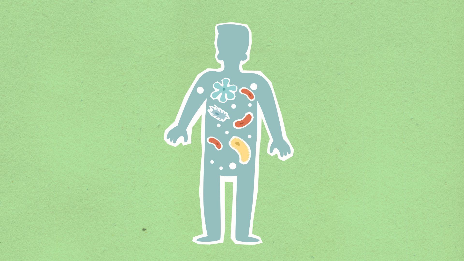 Icon einer Person und ihr Darmmikrobiom